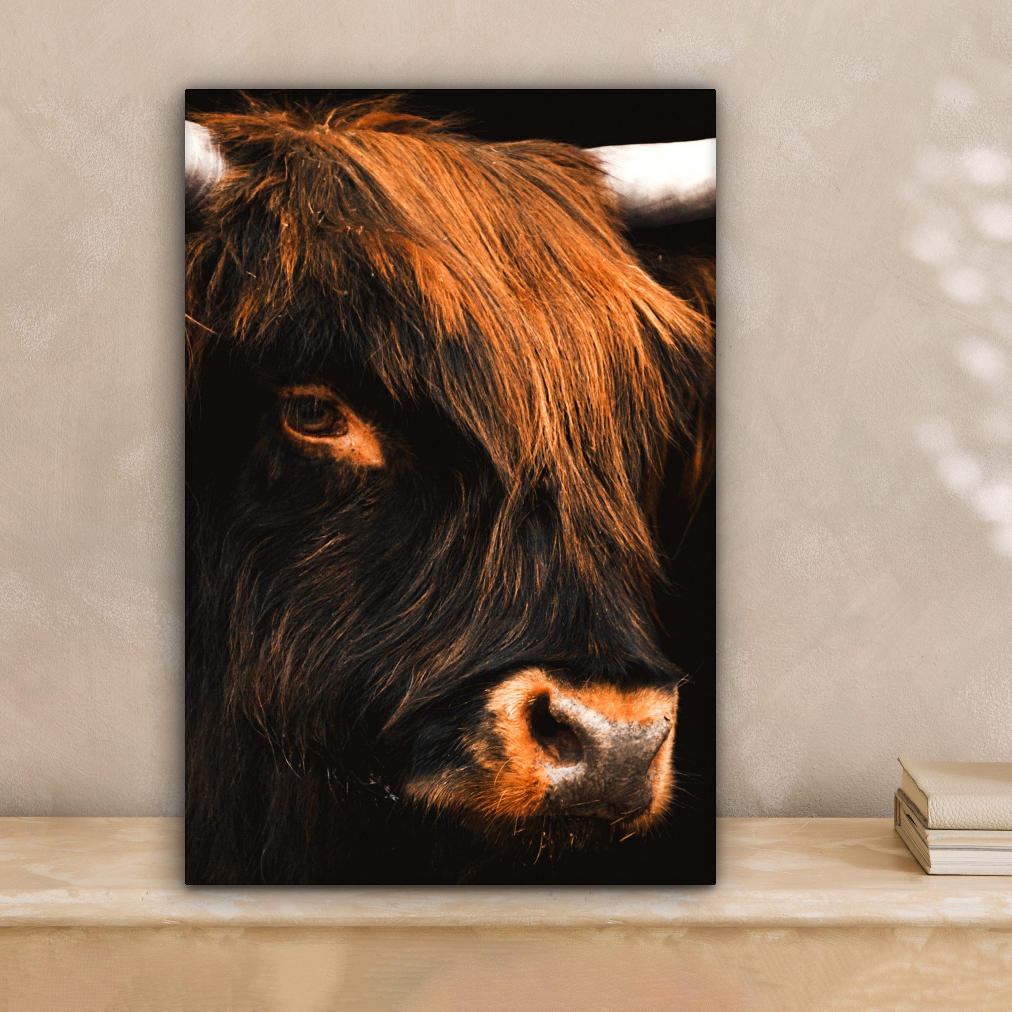 OneMillionCanvasses® Leinwandbild Schottischer Highlander - Schwarz günstig online kaufen