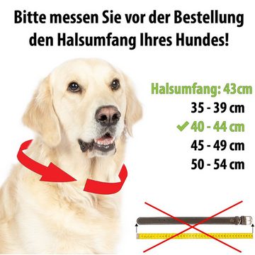 CopcoPet Hunde-Halsband Hundehalsband Fettleder halsband geflochten mit Dornschließe verchromt und Messing, Robust, nachhaltig, Naturprodukt