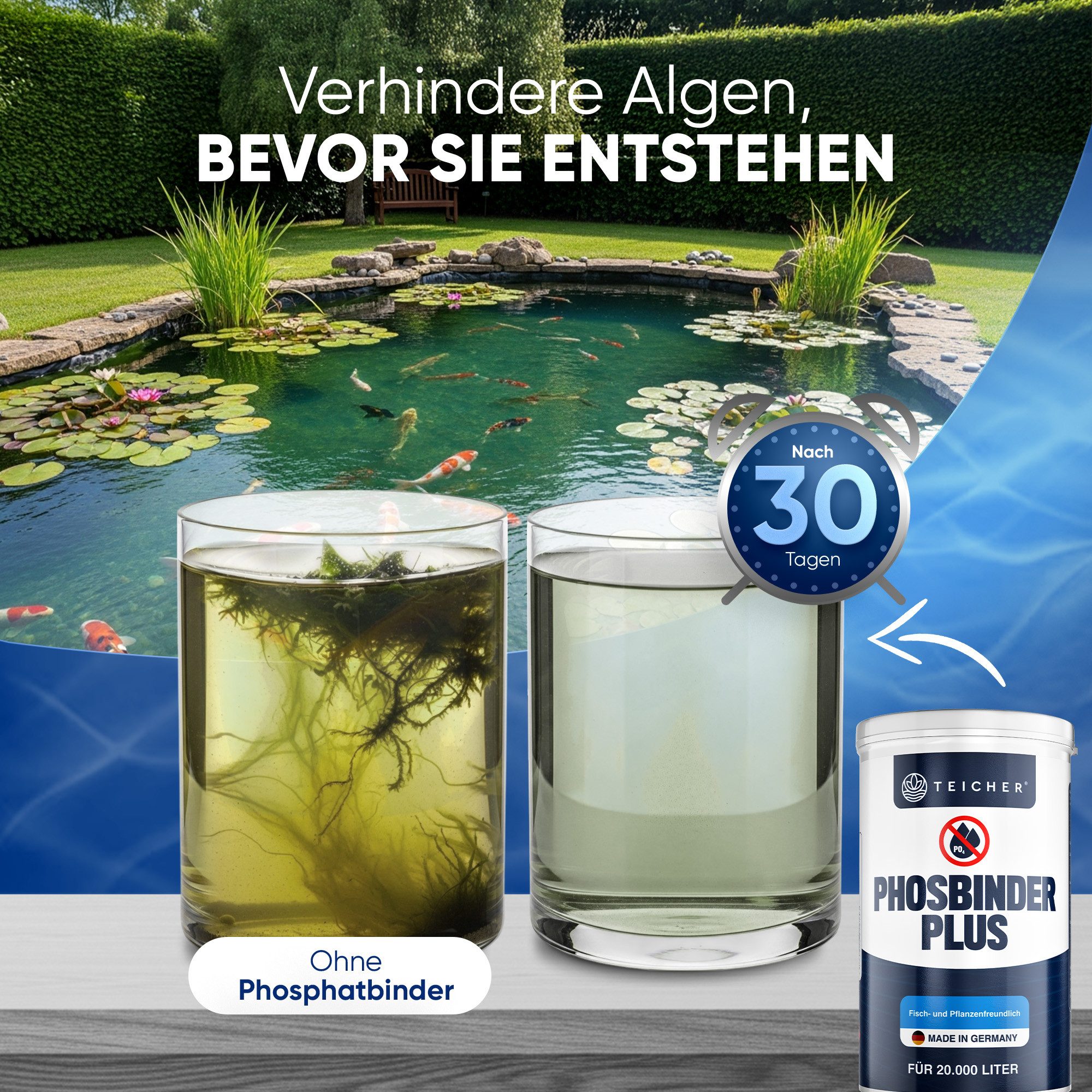Teicher Algenschutz Phosphatbinder – Reduziert Phosphat & beugt Algenbildung vor, für dauerhaft klares Teichwasser