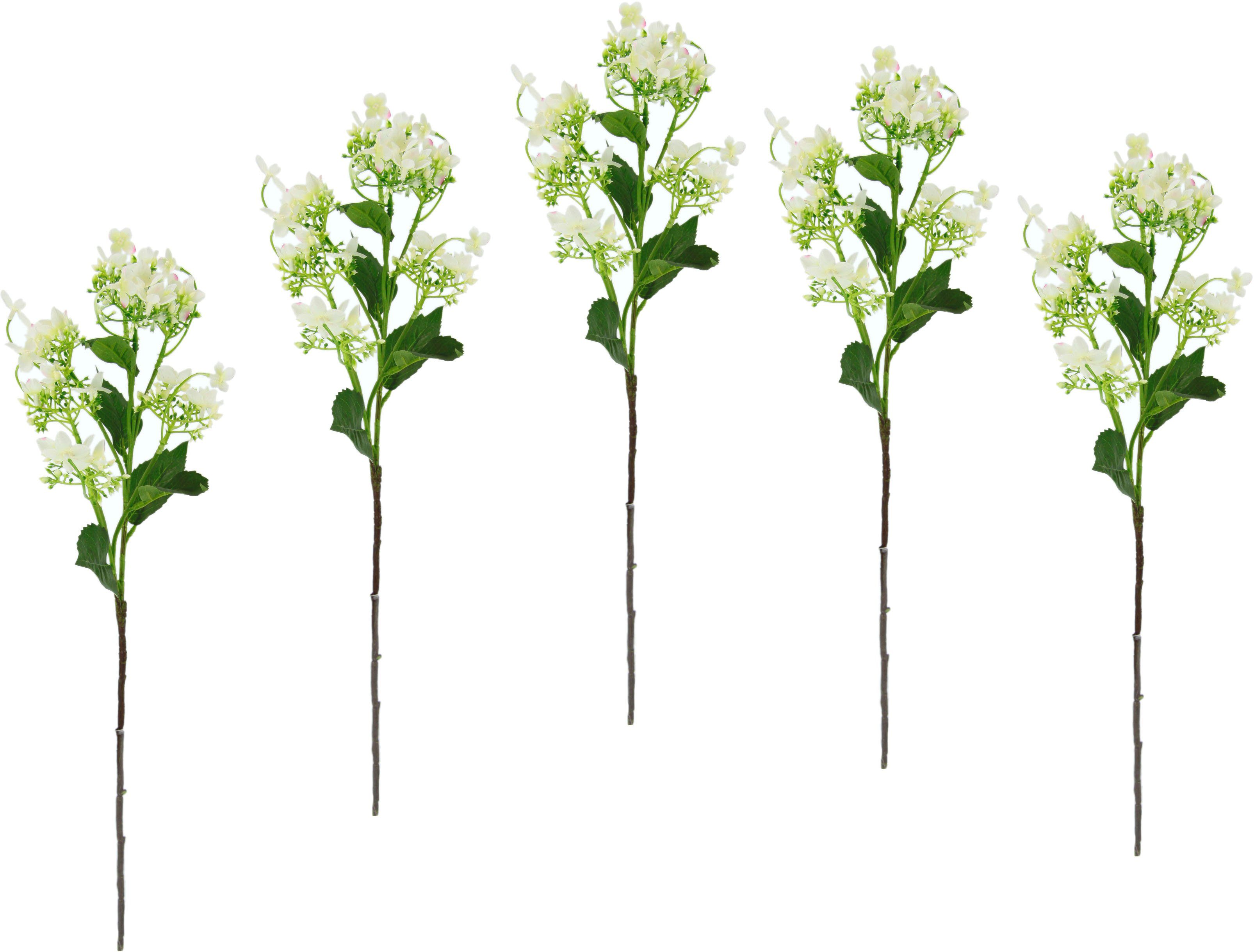 Kunstblume Blütenzweig, I.GE.A., Höhe 60 Zweig, Kunstpflanze, Set künstlicher weiß cm, 5er Dekozweig