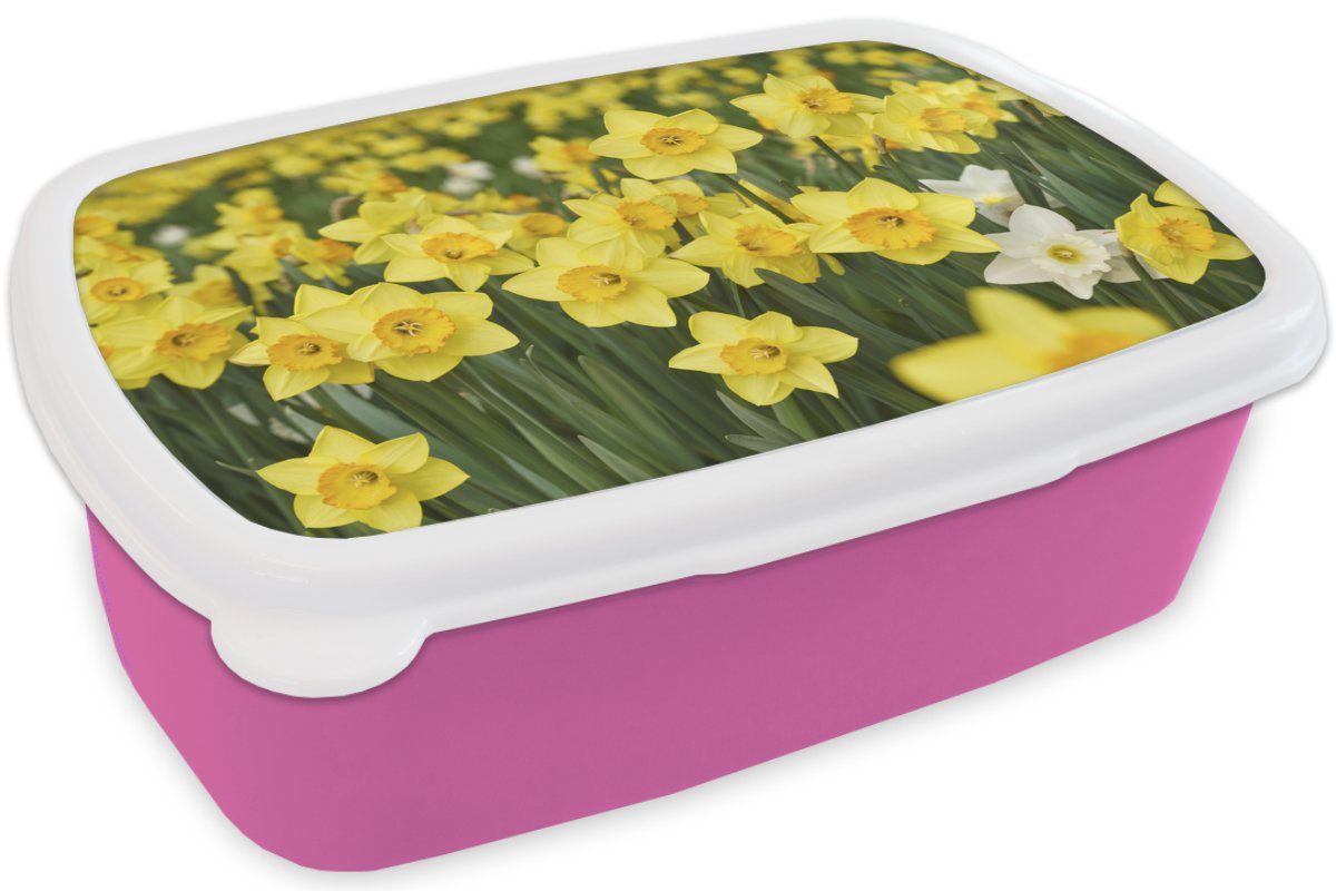 MuchoWow Lunchbox Blumen - Gelb rosa Kinder, Narzissen, Snackbox, - (2-tlg), Brotbox Brotdose Erwachsene, für Kunststoff Mädchen, Kunststoff