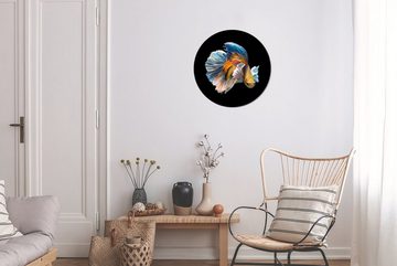 MuchoWow Wandsticker Orange und blauer Siamesischer Riffbarsch in dunklem Wasser (1 St), Tapetenkreis für Kinderzimmer, Tapetenaufkleber, Rund, Wohnzimmer