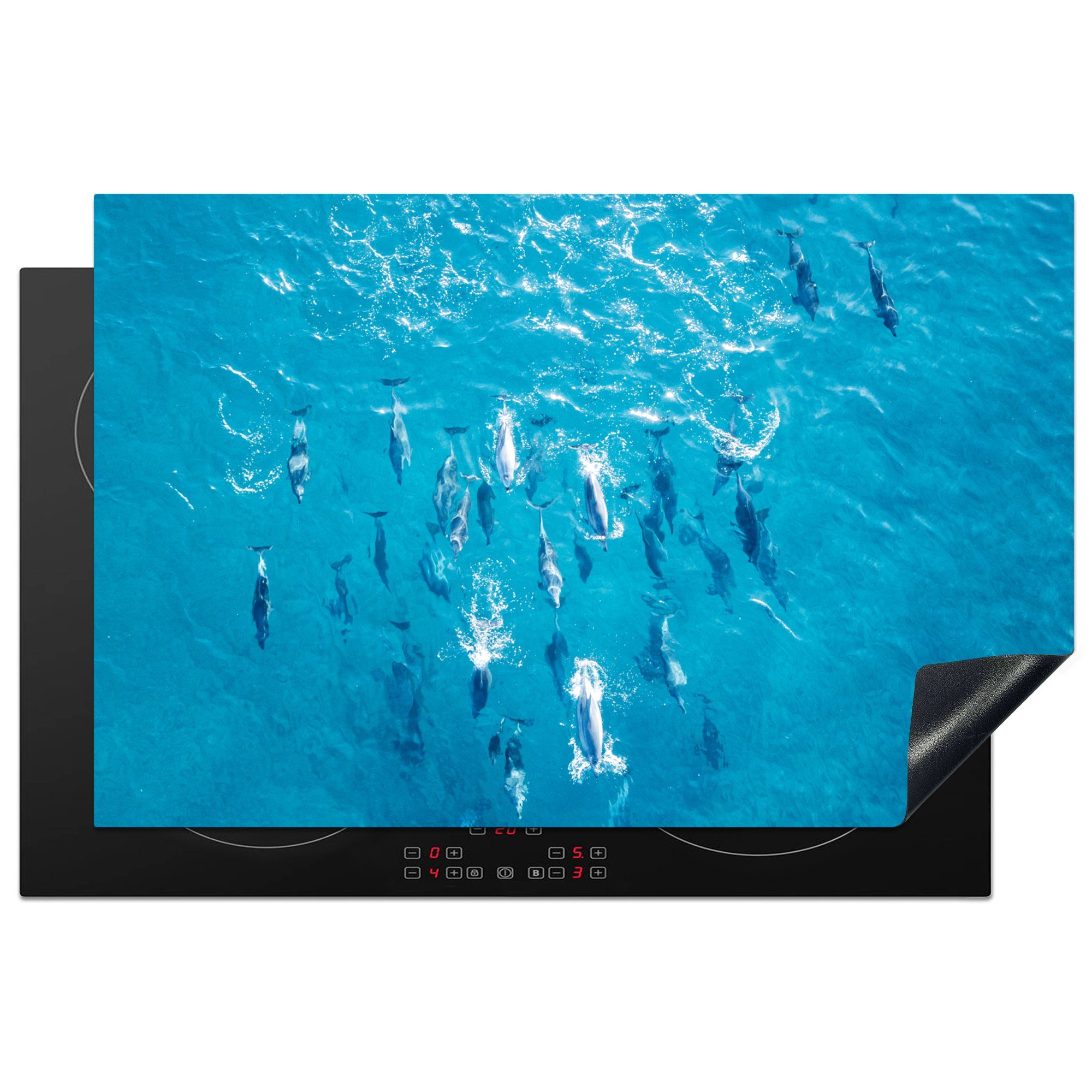 MuchoWow Herdblende-/Abdeckplatte Delfin - Wasser - Meer, Vinyl, (1 tlg), 81x52 cm, Induktionskochfeld Schutz für die küche, Ceranfeldabdeckung