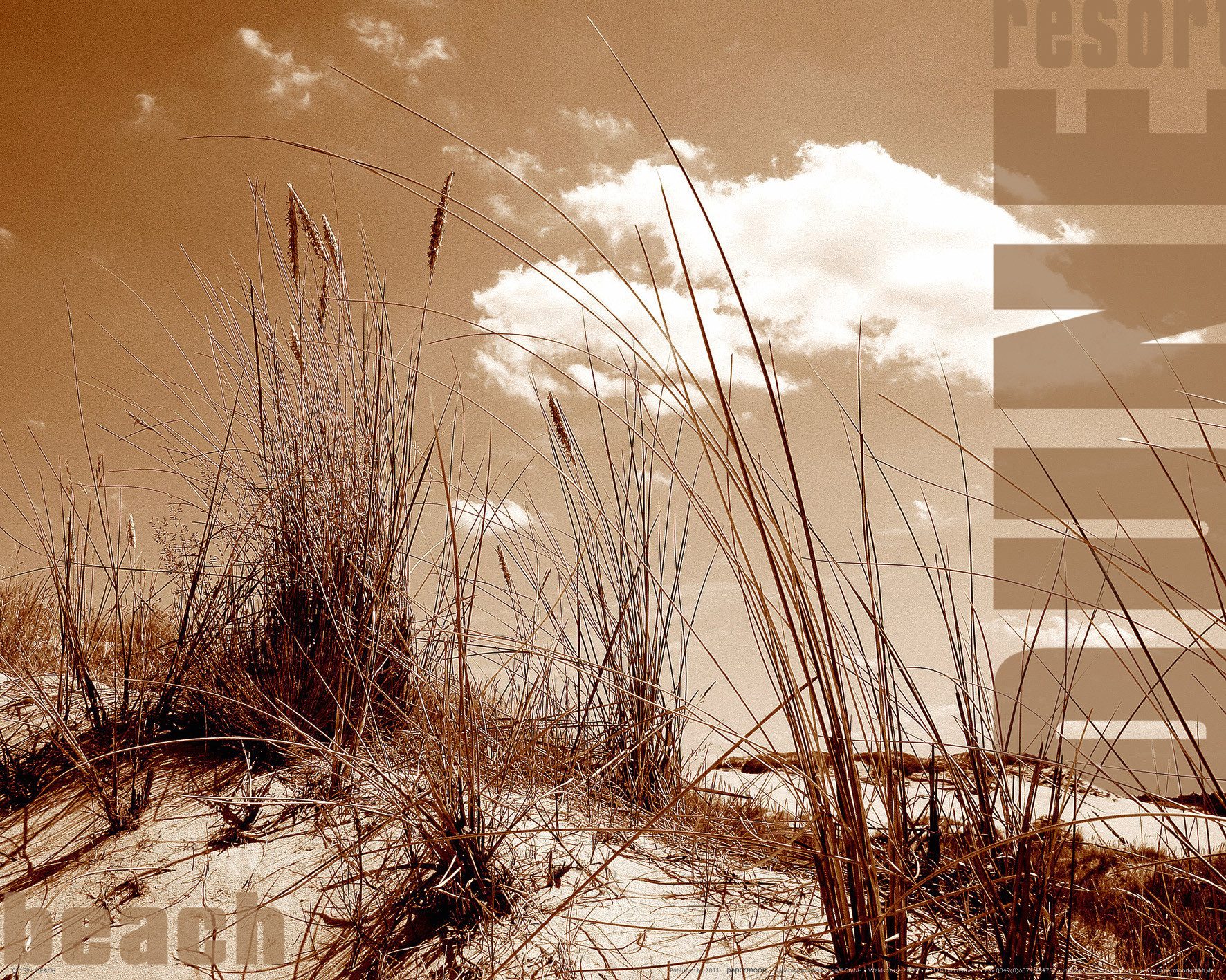 Papermoon Poster Mini-Poster Nr.290 Düne, 40 X 50 CM, (Strand Beach Resort Düne Querformat), genormte Postergröße für Rahmen, Bild Dekoration Wanddeko Motiv Tapete