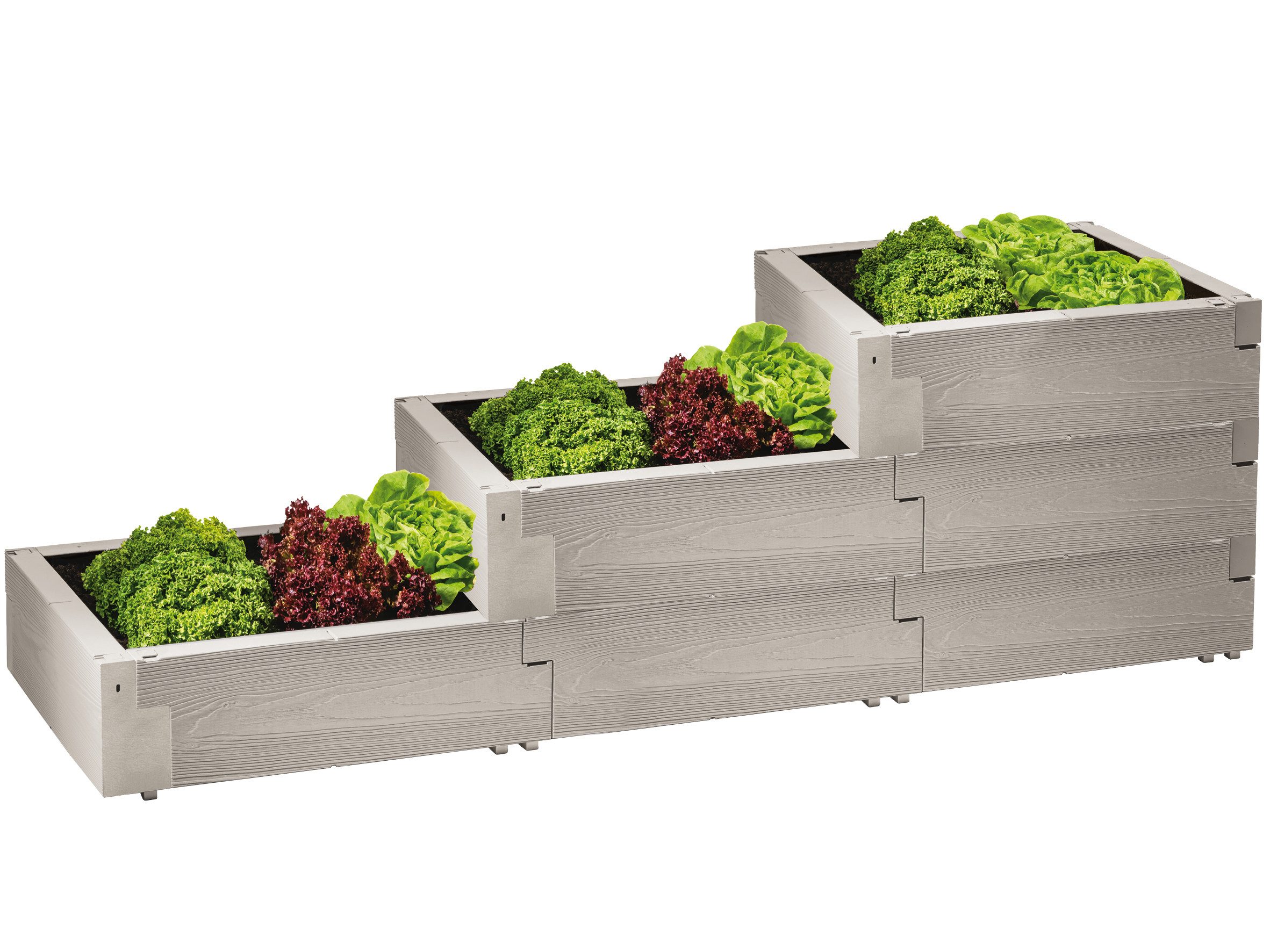 Juwel Pflanzentreppe