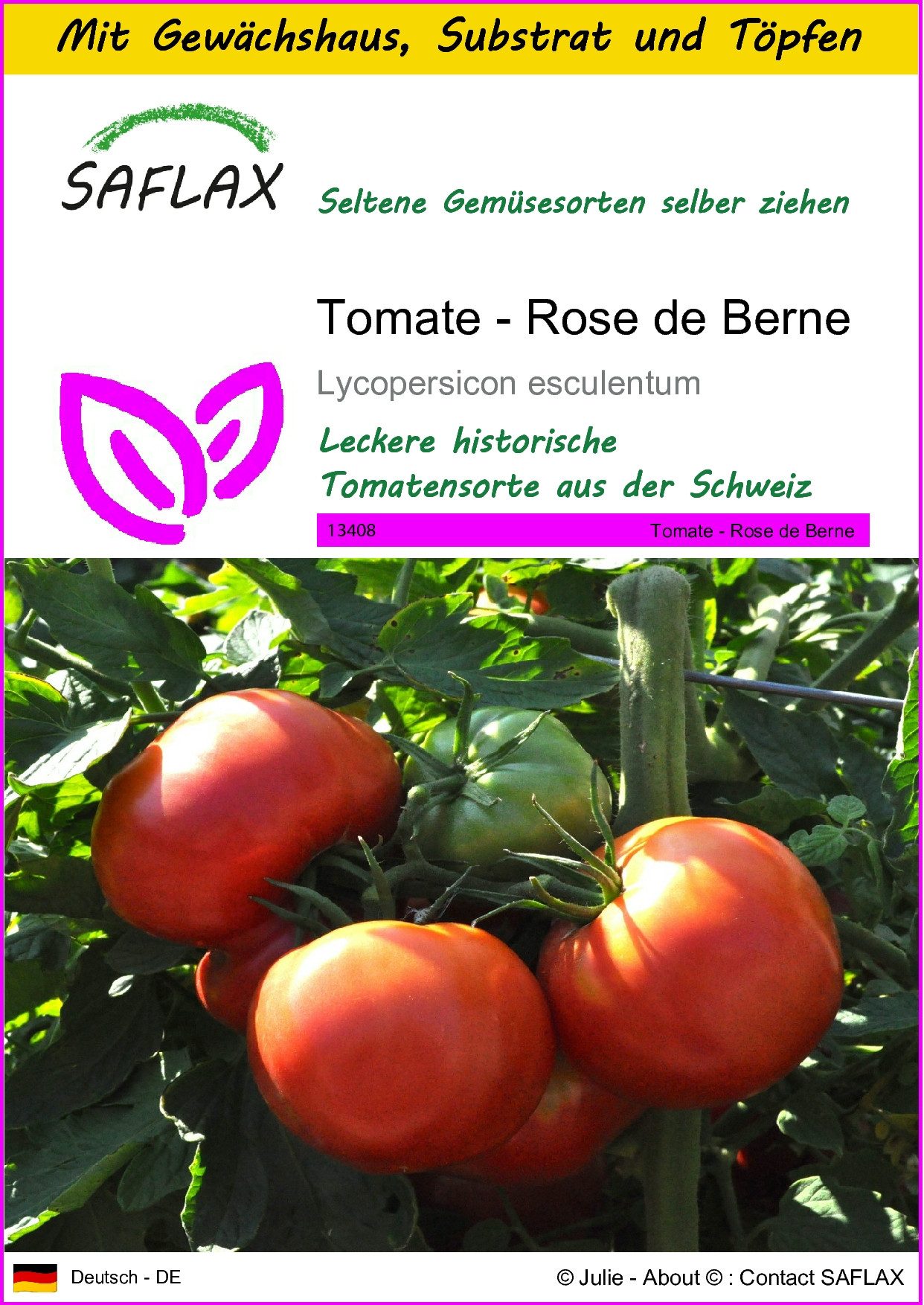 Gemüsesamen SAFLAX - Anzuchtset - Tomate - Rose de Berne