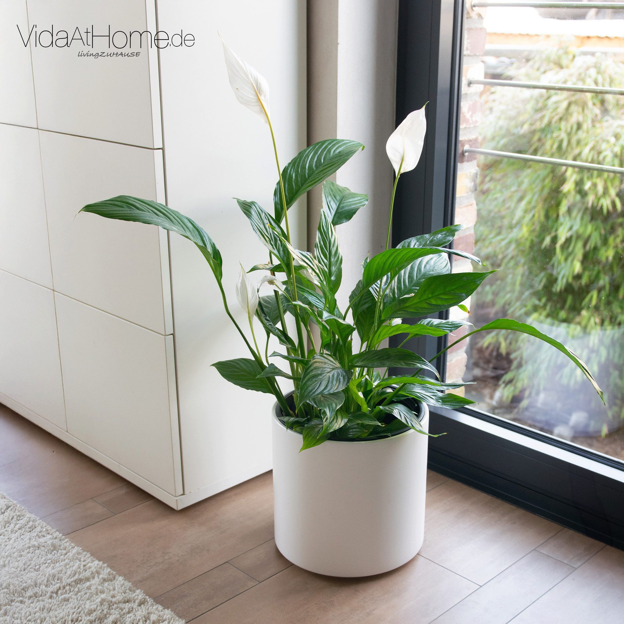 VidaAtHome.de Blumentopf Pflanzgefäß BATOS ø 30er günstig online kaufen