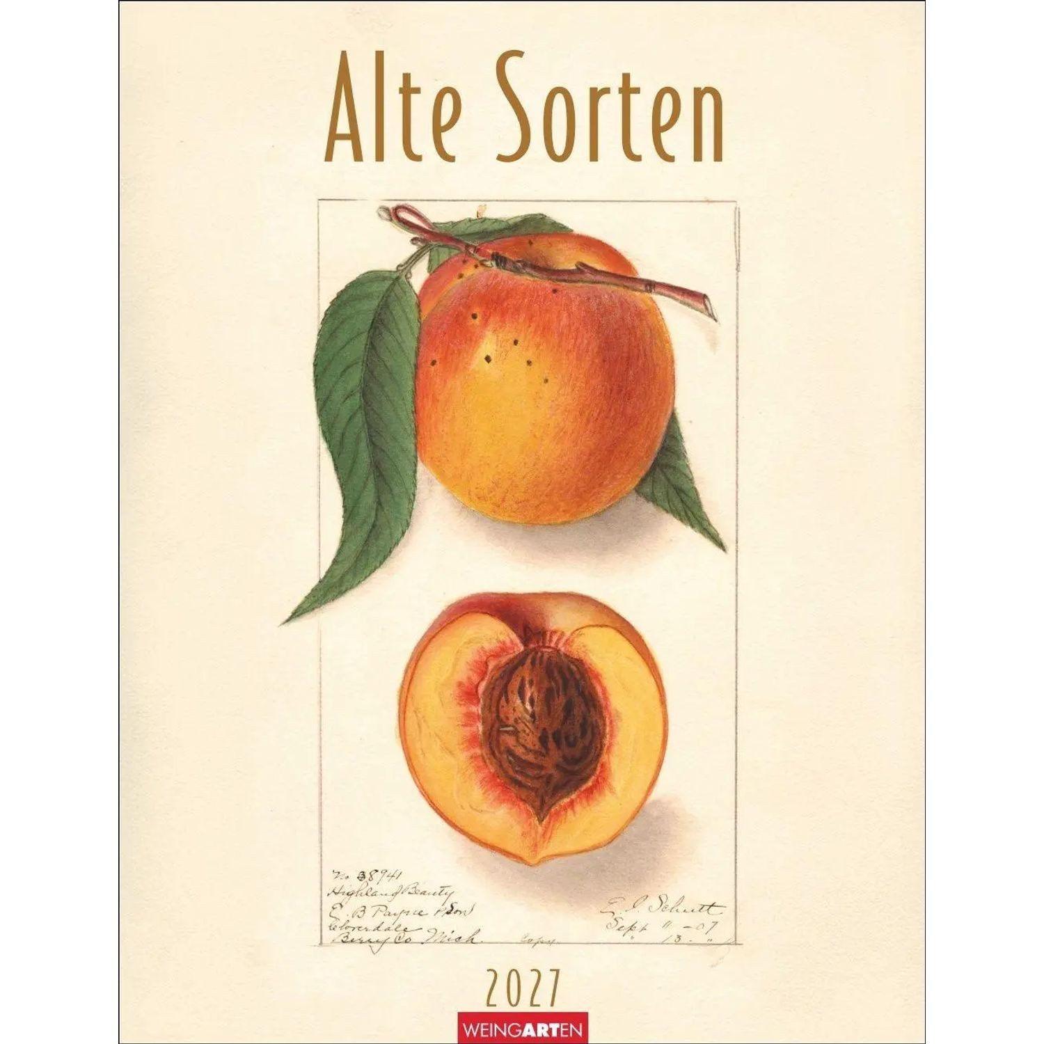Wandkalender Alte Sorten Kalender 2027