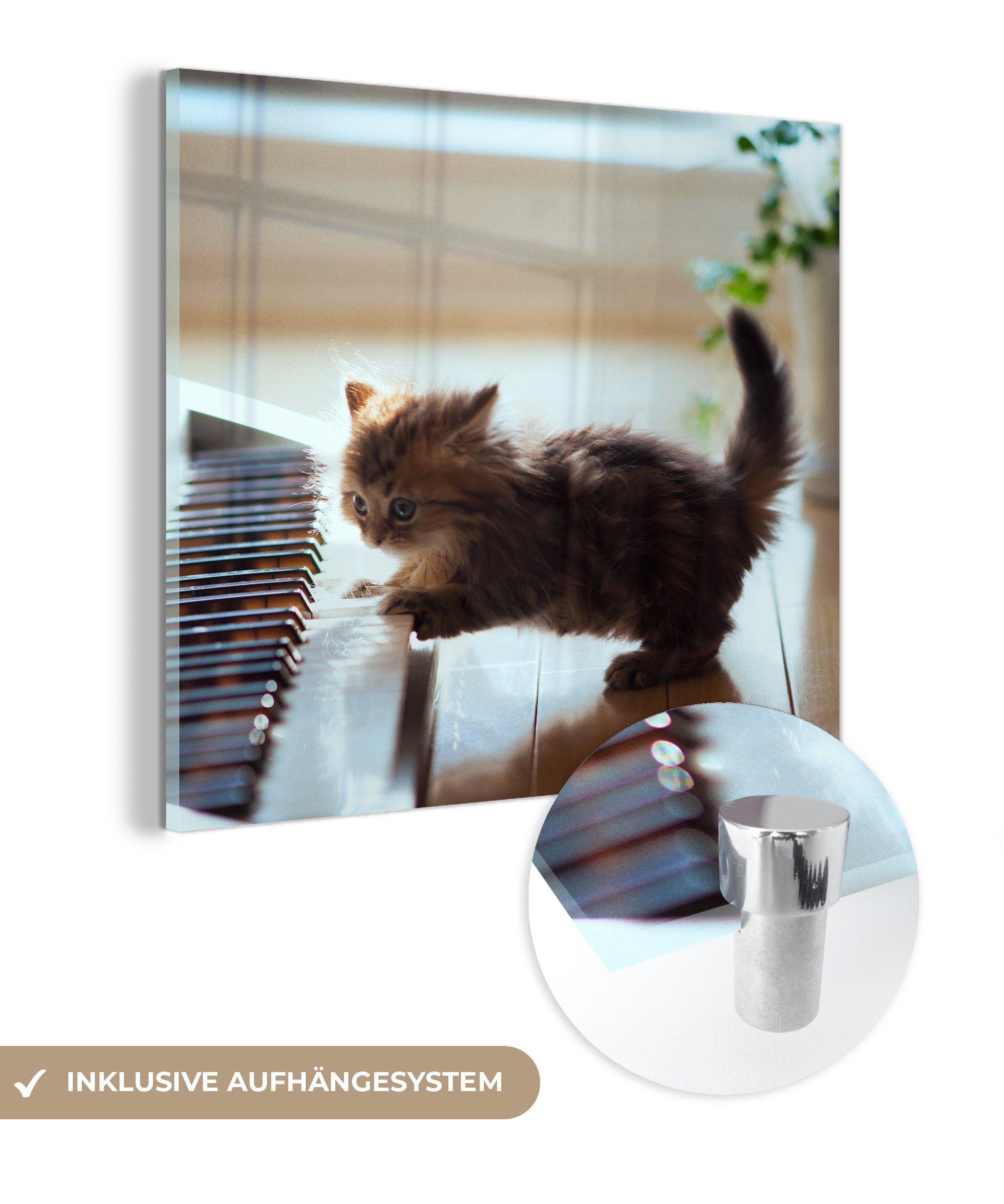 MuchoWow Acrylglasbild Katze - Tier - Kätzchen, (1 St), Glasbilder - Bilder auf Glas Wandbild - Foto auf Glas - Wanddekoration