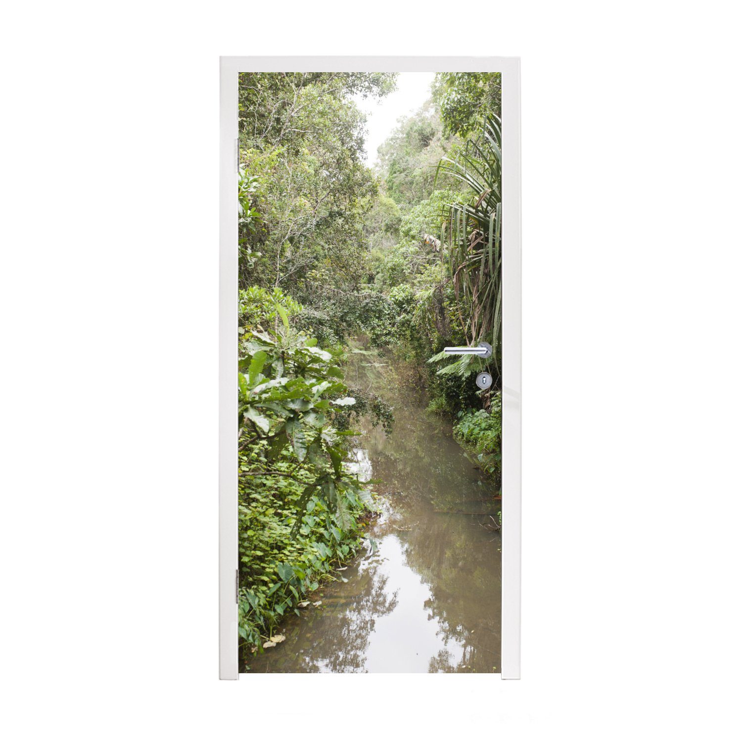 MuchoWow Türtapete Ein Fluss, der durch den dichten Regenwald im Andasibe Mantadia, Matt, bedruckt, (1 St), Fototapete für Tür, Türaufkleber, 75x205 cm