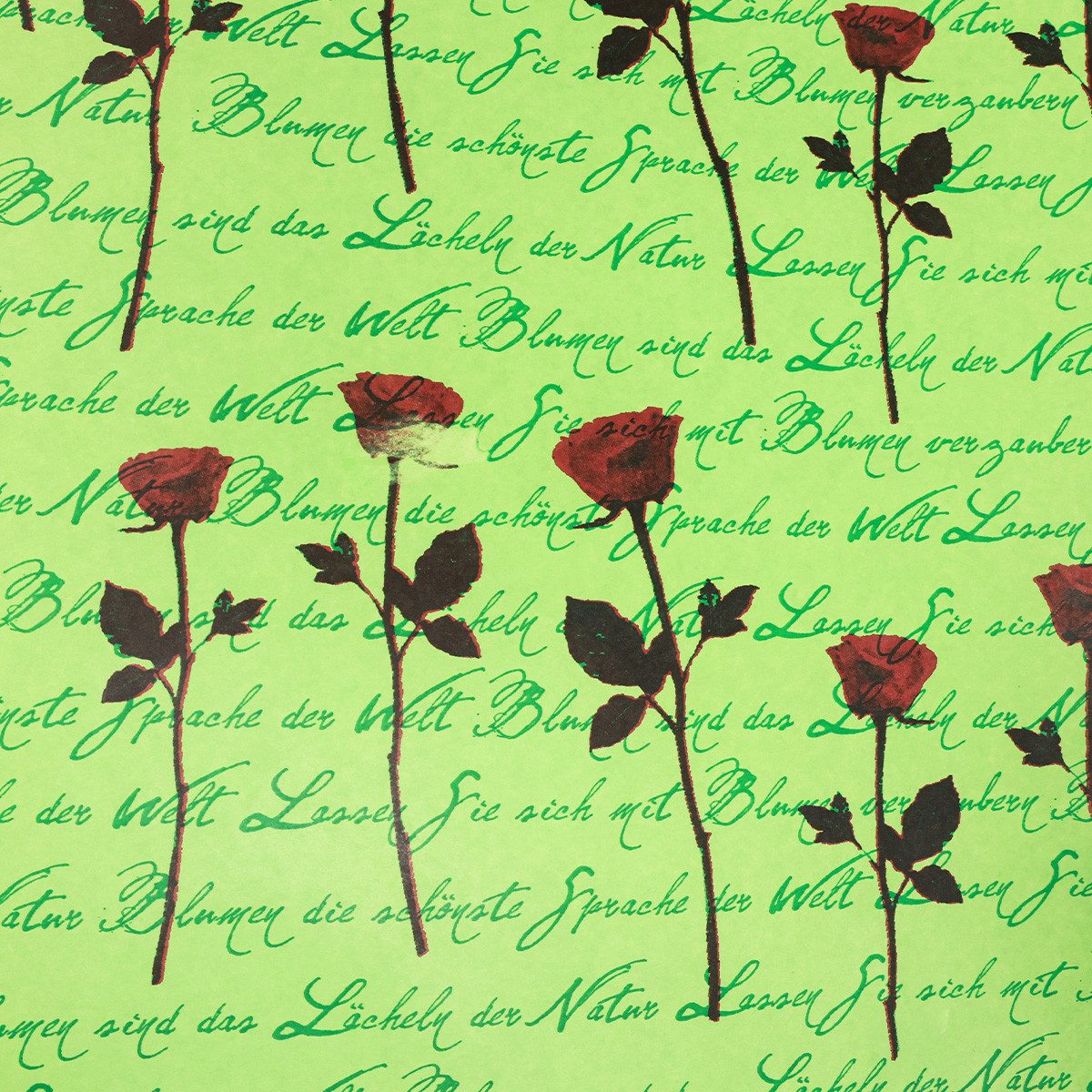 Viana Packpapier Manschettenpapier Rosenmotiv für florale Geschenkideen