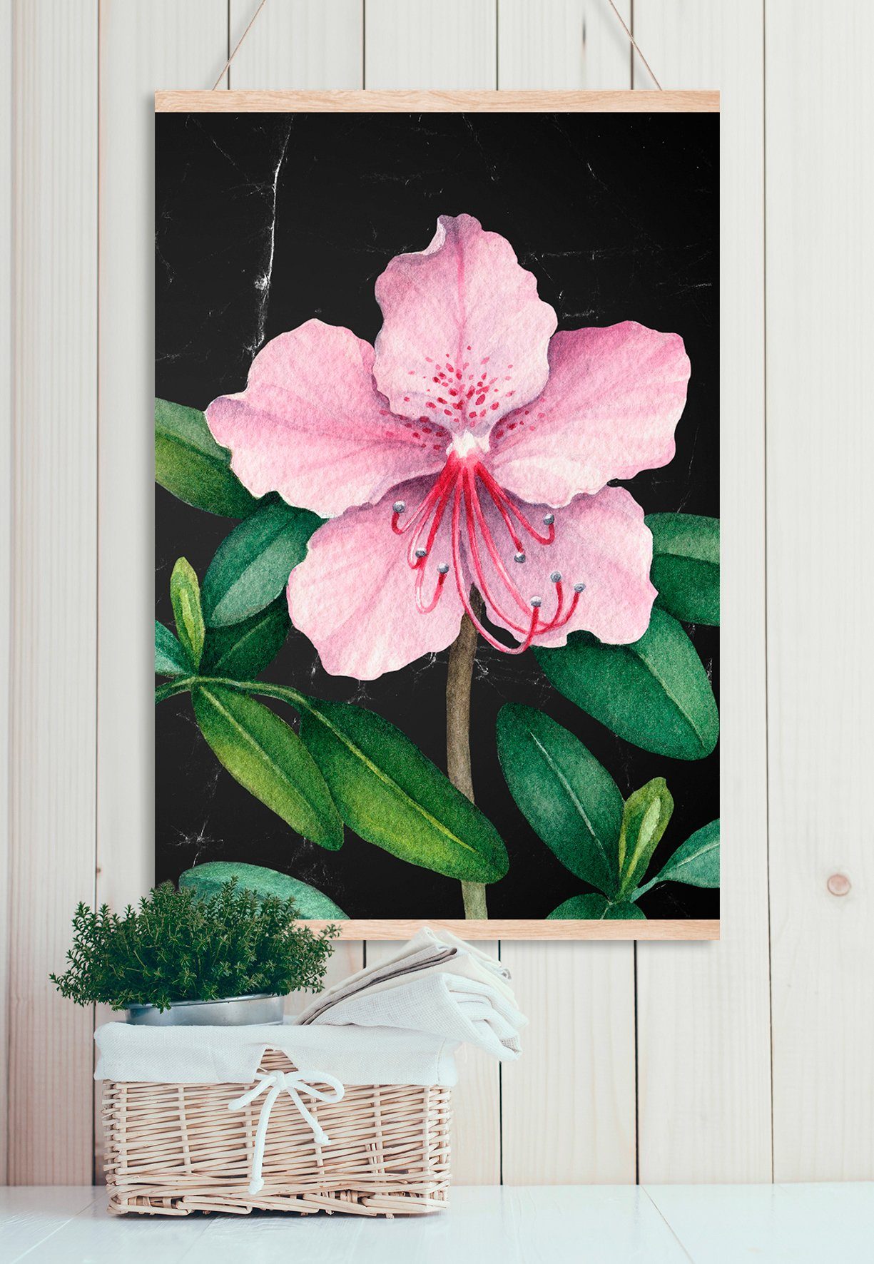 queence Leinwandbild Blüte, 50x70 Rosa cm