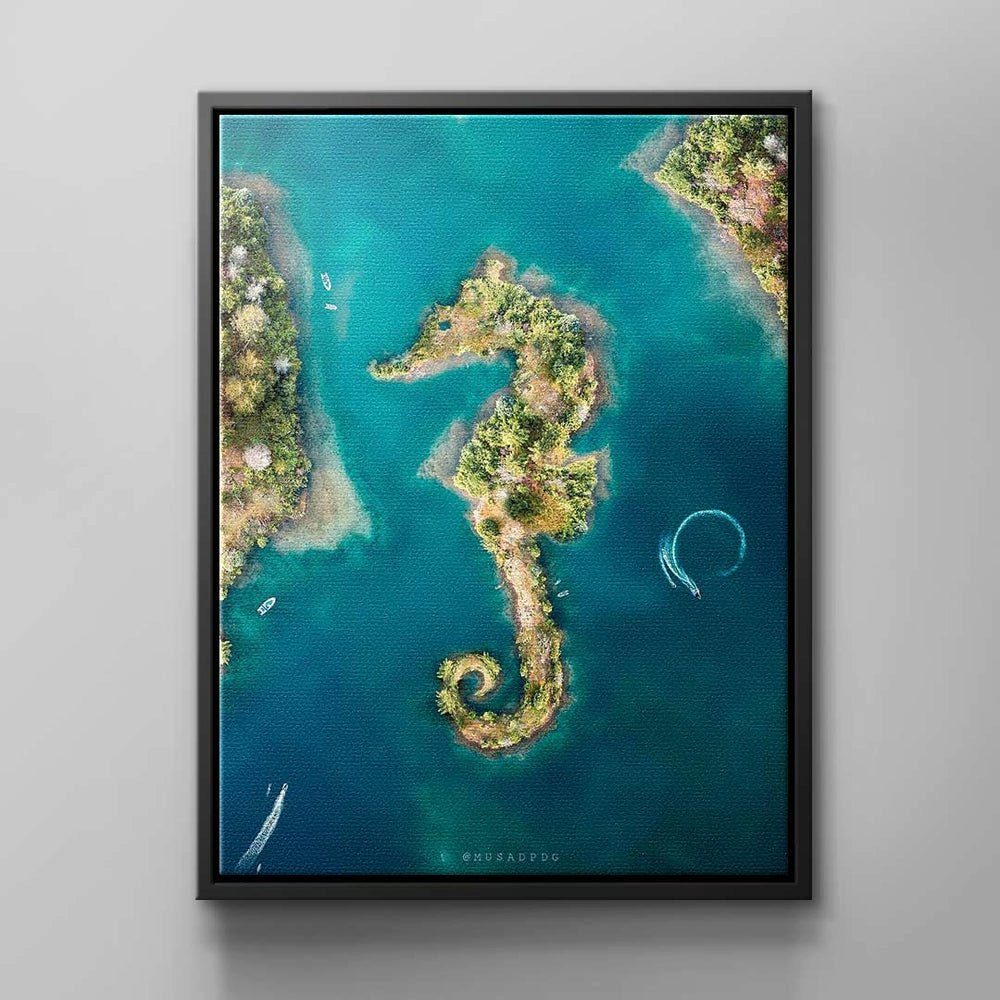DOTCOMCANVAS® Leinwandbild, Seepferdchen Wandbild von Rahmen schwarzer