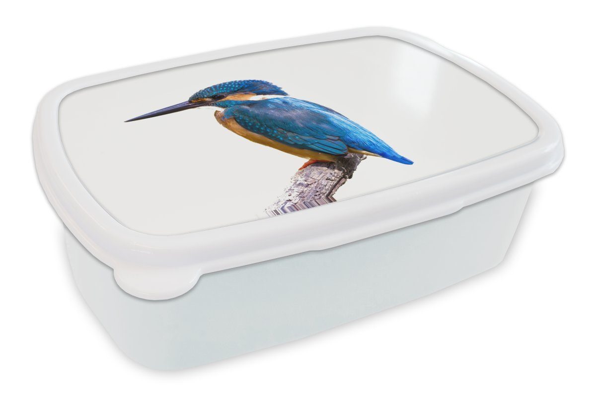 MuchoWow Lunchbox Eisvogel - Federn - Zweig - Blau, Kunststoff, (2-tlg), Brotbox für Kinder und Erwachsene, Brotdose, für Jungs und Mädchen weiß