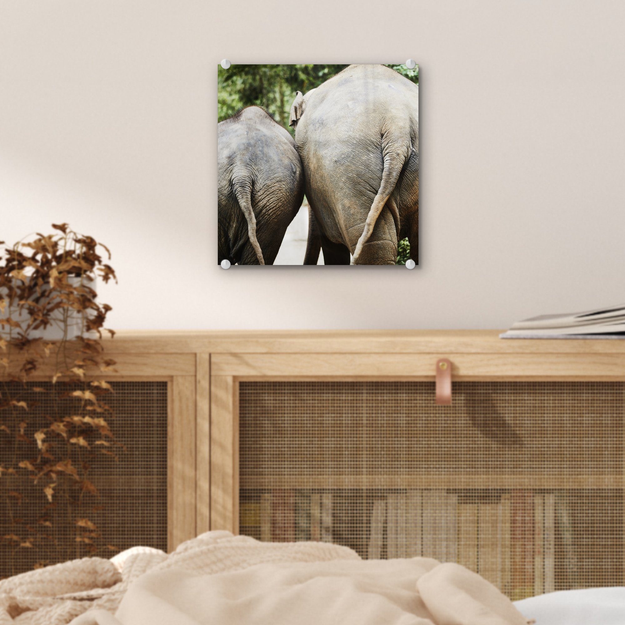 Tiere Glasbilder Elefant auf auf Acrylglasbild St), - (1 Natur, - Glas - - Foto Wandbild MuchoWow Grau - Wanddekoration Bilder Glas -