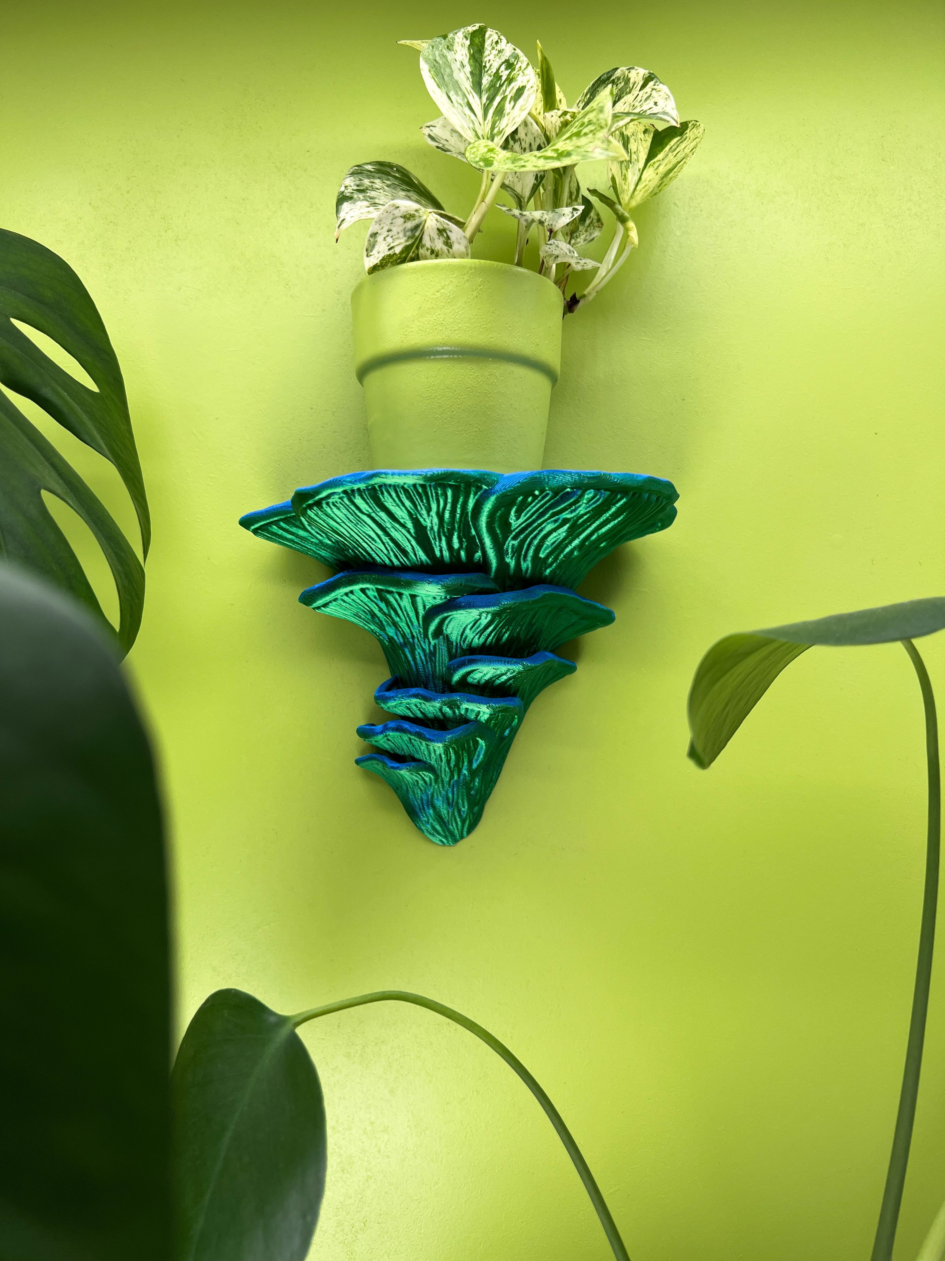 Roomberry Deko-Wandregal Flamingo-Seitling Pilz Wandregal, Hergestellt günstig online kaufen