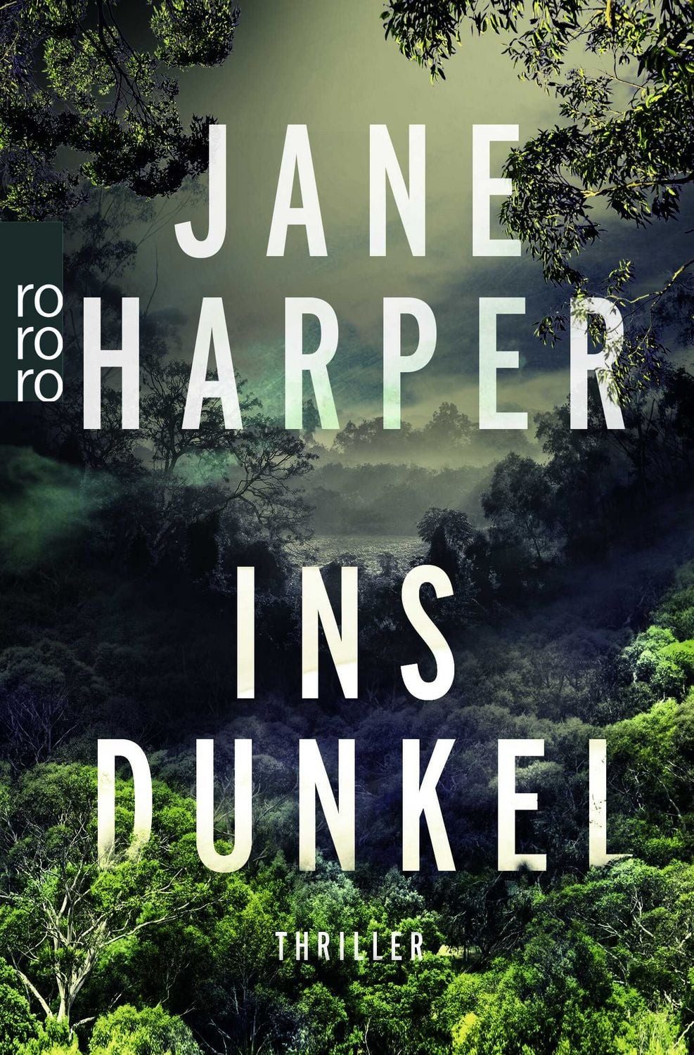 Ins Dunkel / Jane Harper, Thriller