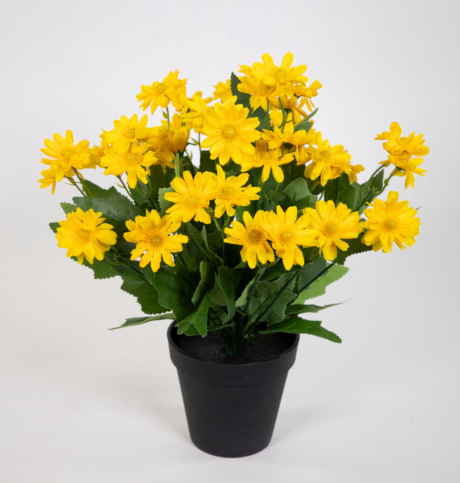 Kunstblume Margeritenbusch 32cm im Topf JA Kunstpflanzen künstliche Blume P günstig online kaufen