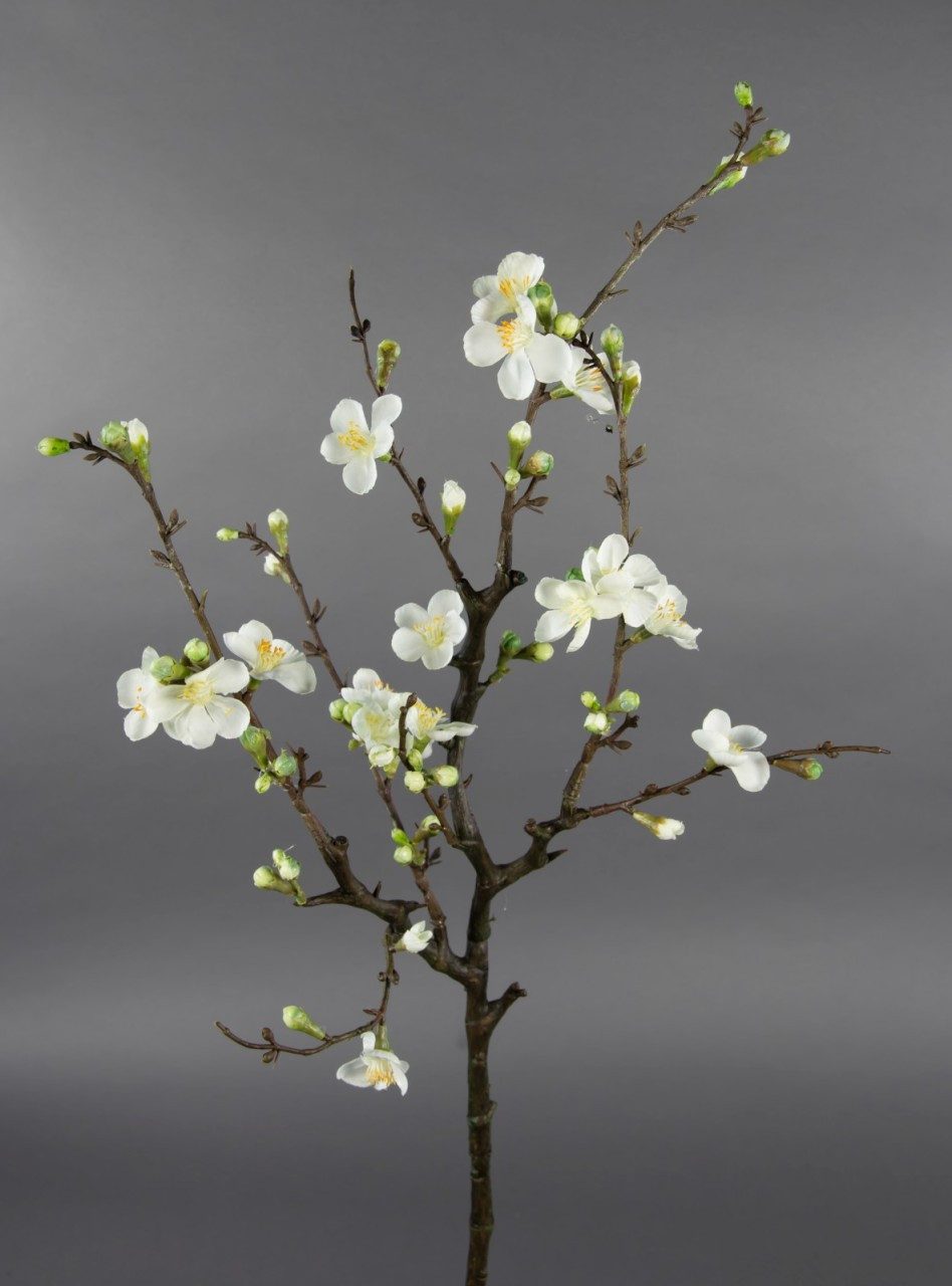 Kunstblume Künstlicher Kirschblütenzweig / Ast 75x30cm günstig online kaufen