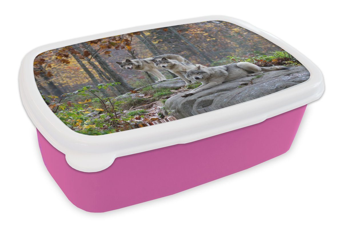 MuchoWow Lunchbox Wölfe - Fels - Wald, Kunststoff, (2-tlg), Brotbox für Erwachsene, Brotdose Kinder, Snackbox, Mädchen, Kunststoff rosa