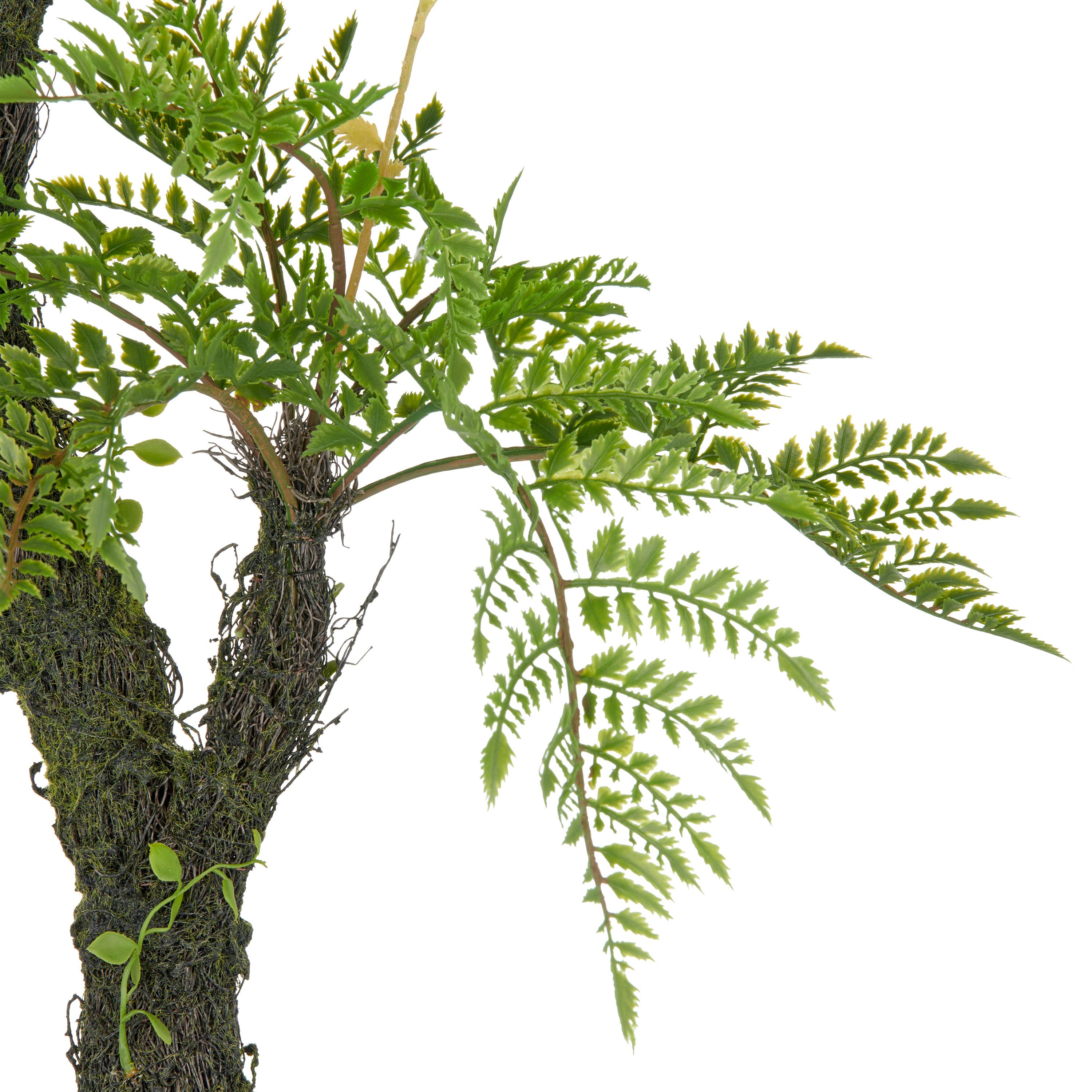 Kunstpflanze Baumfarn, Creativ green, Höhe 80 cm, an Moosstamm günstig online kaufen