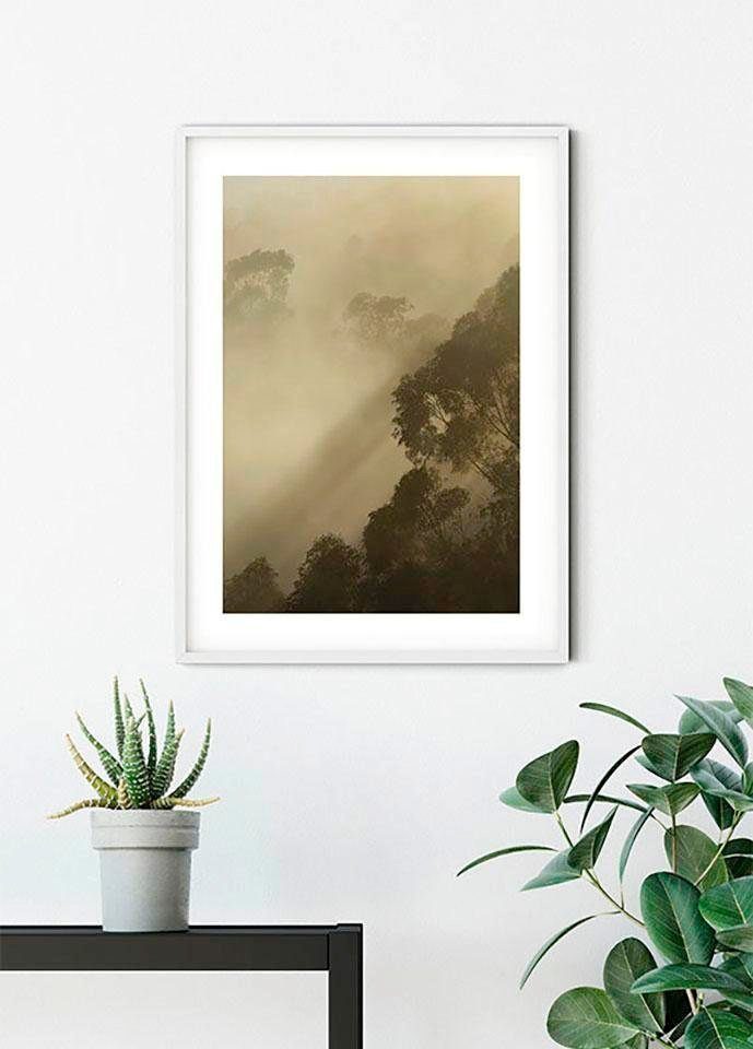 Komar Bild Golden Light, Natur (1 St), Wandbild zur Dekoration - ohne Rahmen