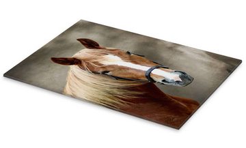 Posterlounge Acrylglasbild WildlifePhotography, Pferde, Fotografie