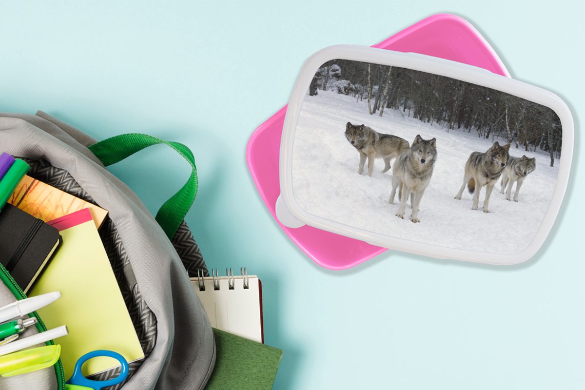 - Erwachsene, (2-tlg), Schnee Lunchbox Snackbox, Kinder, Kunststoff, Brotdose - Kunststoff Mädchen, Kanada, Brotbox MuchoWow Wolf rosa für