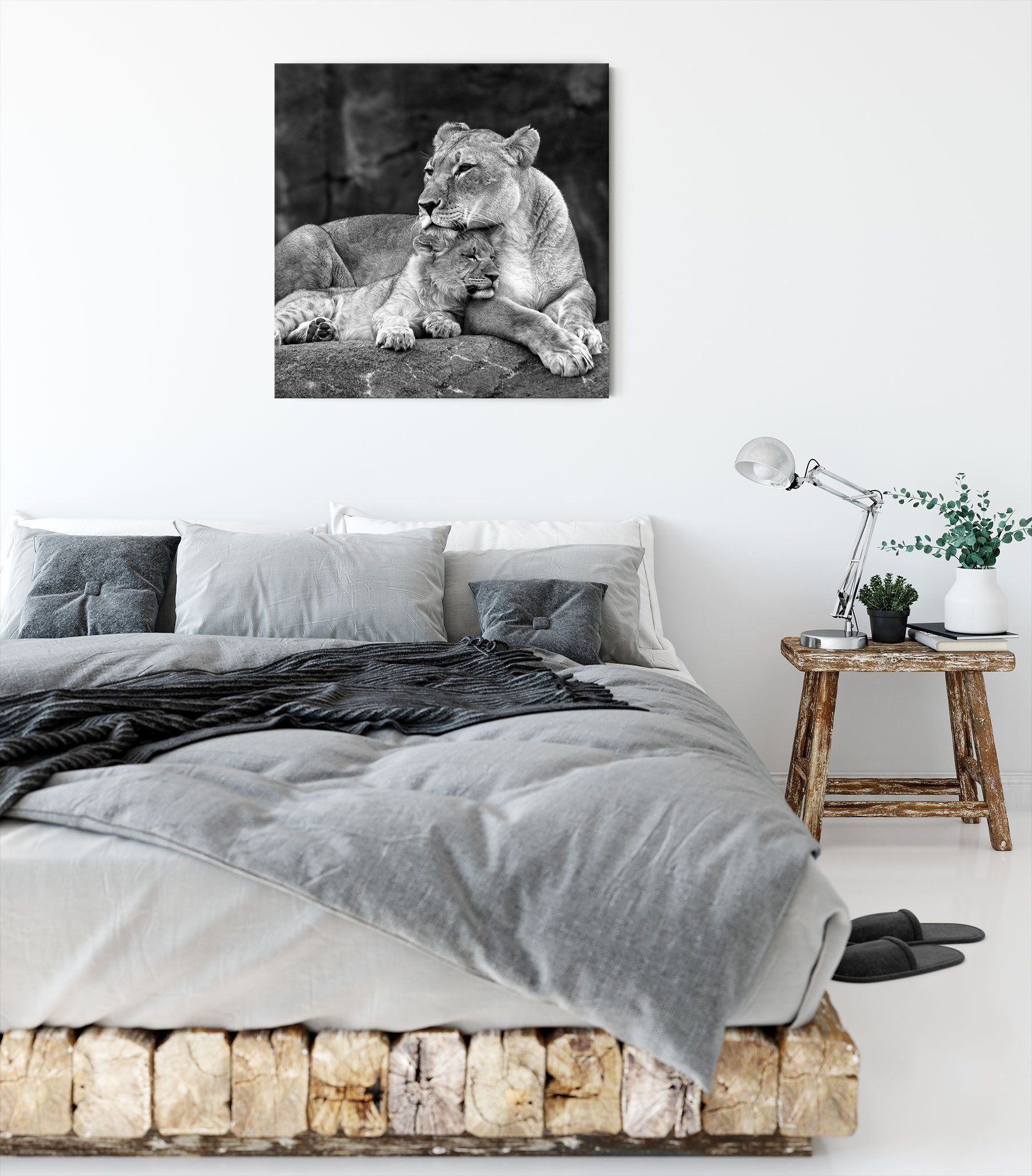 Pixxprint Leinwandbild Löwe Löwe bespannt, Löwenjungen Zackenaufhänger fertig Löwenjungen, inkl. Leinwandbild St), (1