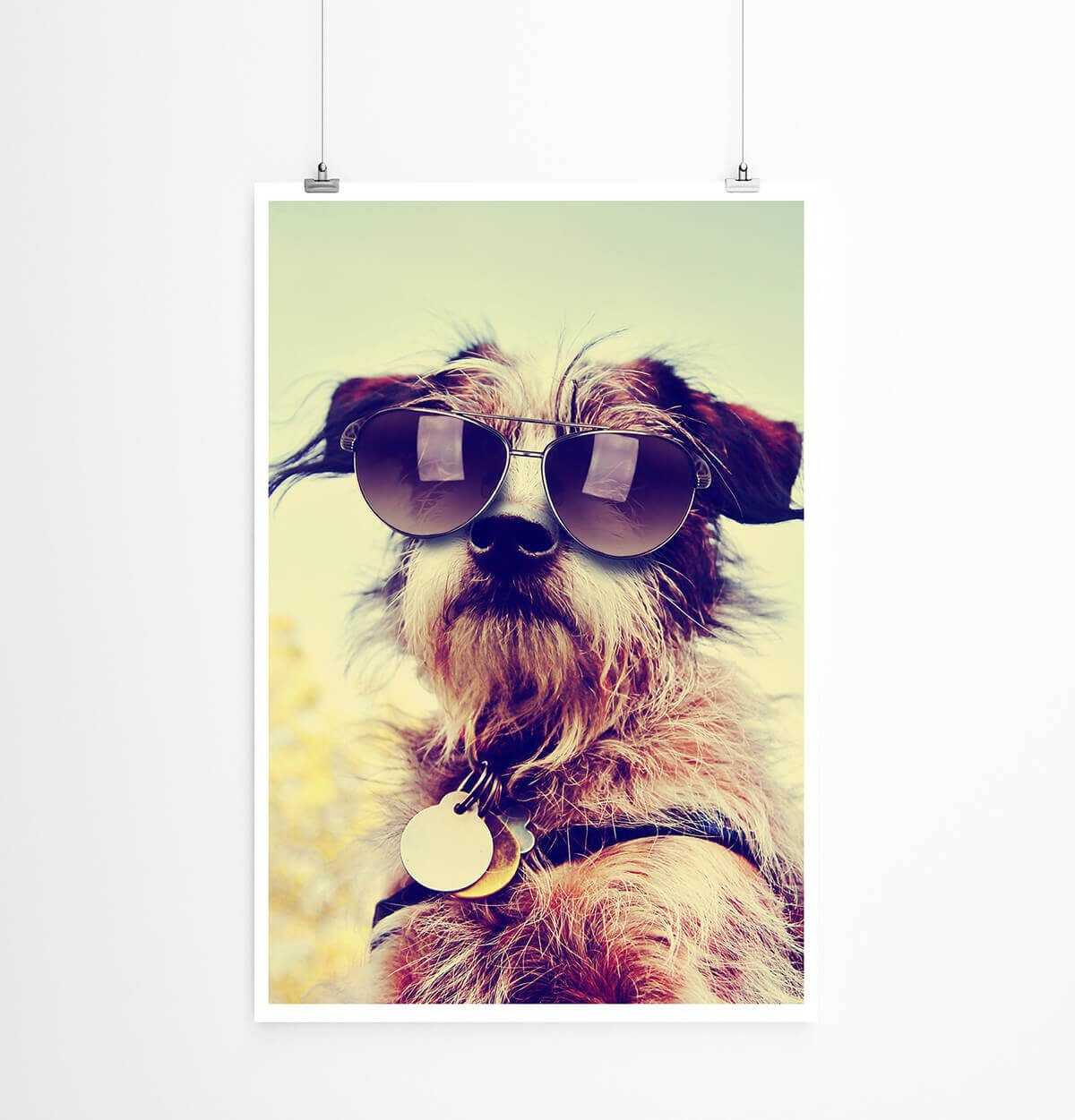 Sinus Art Poster Tierfotografie 60x90cm Poster Cooler Chihuahua Terrier mit Sonnenbrille