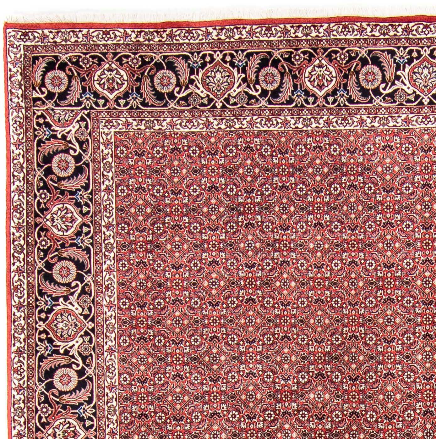 Orientteppich Perser - Zertifikat mit Handgeknüpft, - x 245 - Einzelstück Wohnzimmer, rechteckig, Bidjar cm mm, rot, 350 15 morgenland, Höhe