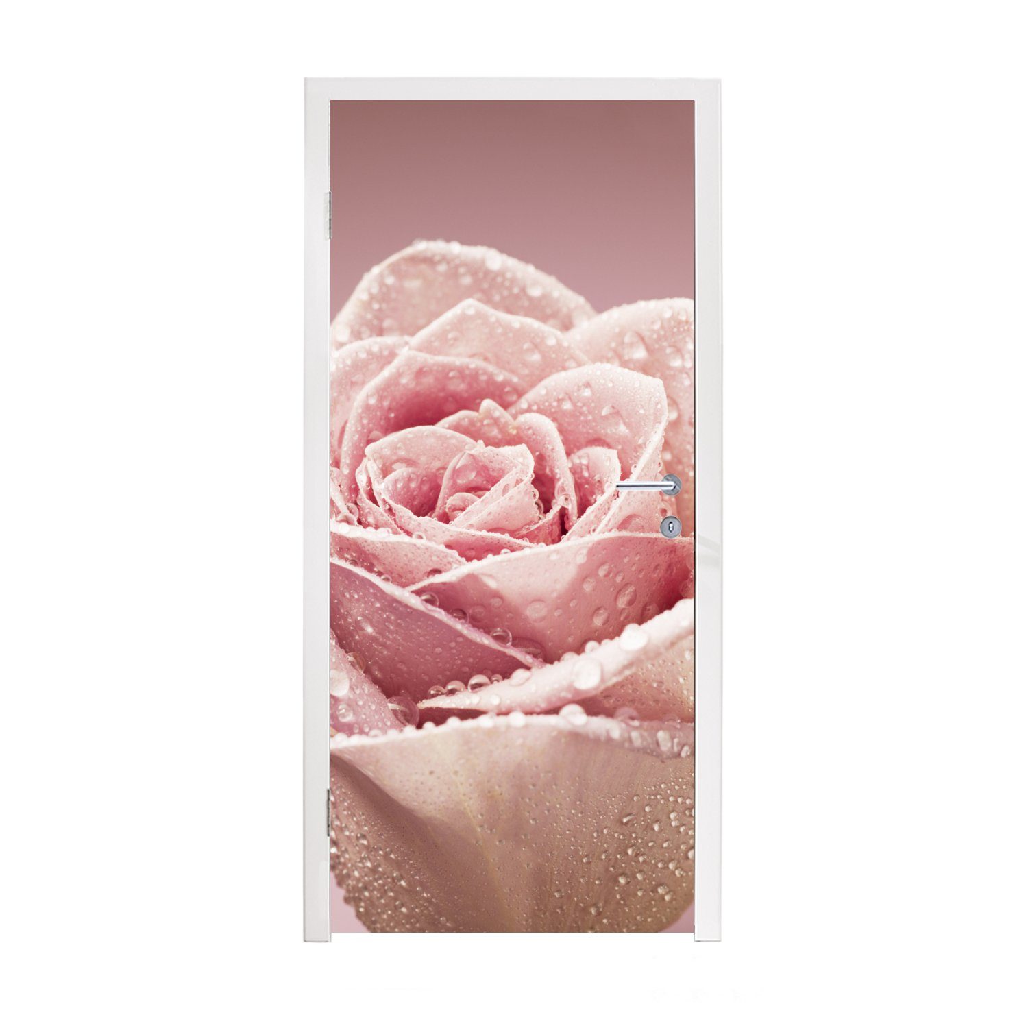 Tautropfen einer cm auf Türtapete (1 Fototapete 75x205 Tür, St), für einzelnen rosa Matt, bedruckt, MuchoWow Rose, Türaufkleber,