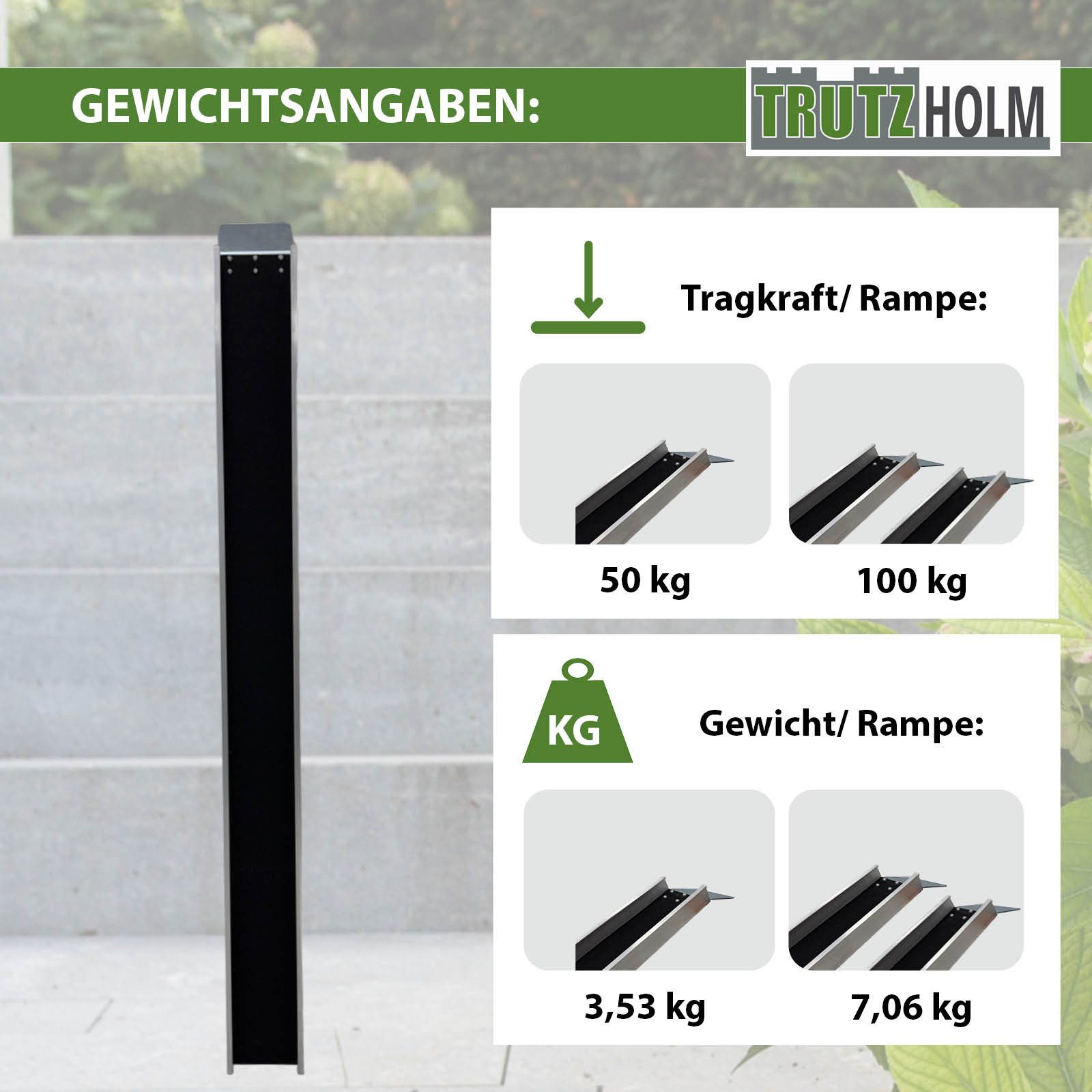 TRUTZHOLM Auffahrrampe Auffahrschiene 183 cm Tragkraft 50 kg Alu grau Anti Rutsch (Produkt, 1-St), hohe Traglast