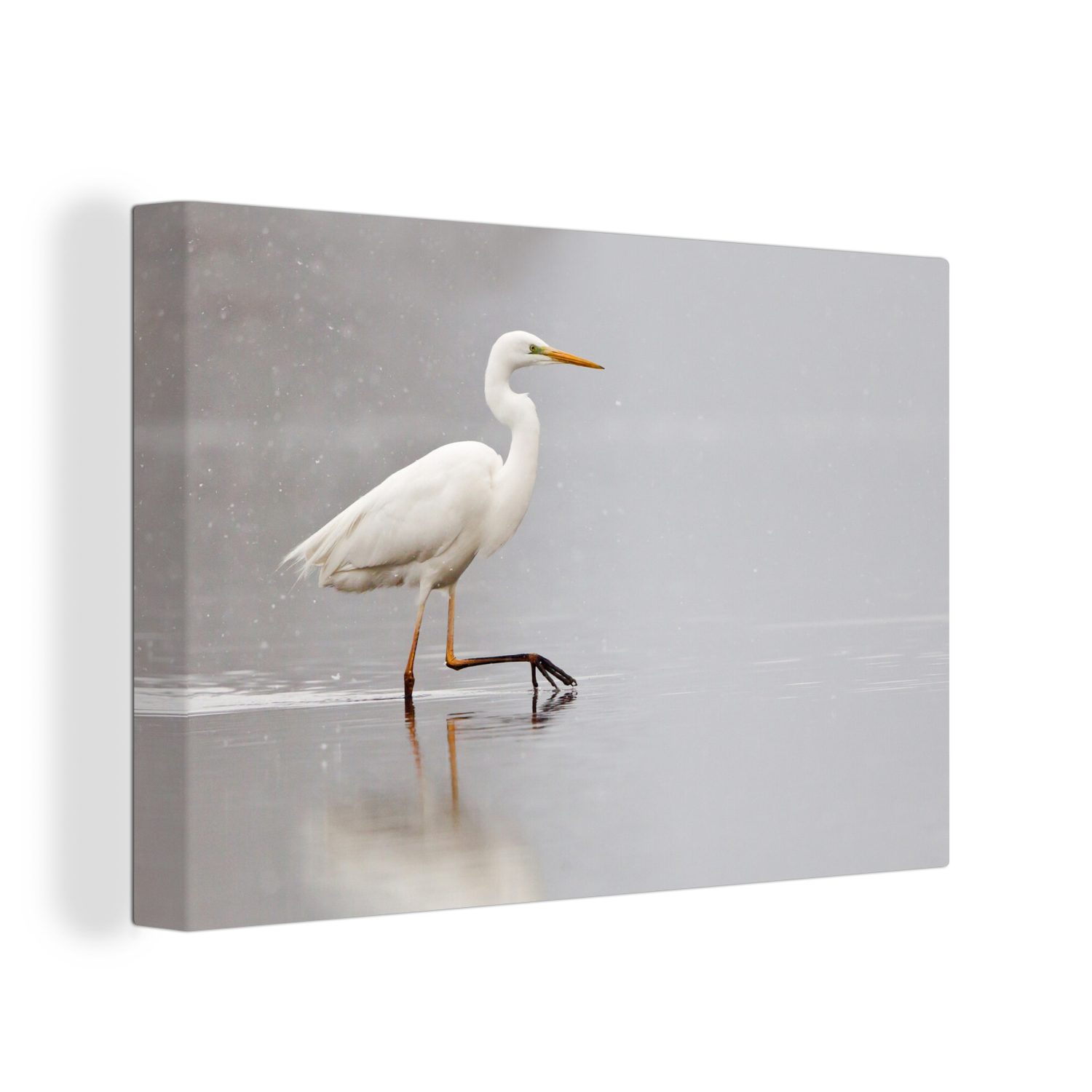 OneMillionCanvasses® Leinwandbild Storch, der bei Regen durchs Wasser läuft, (1 St), Wandbild Leinwandbilder, Aufhängefertig, Wanddeko, 30x20 cm