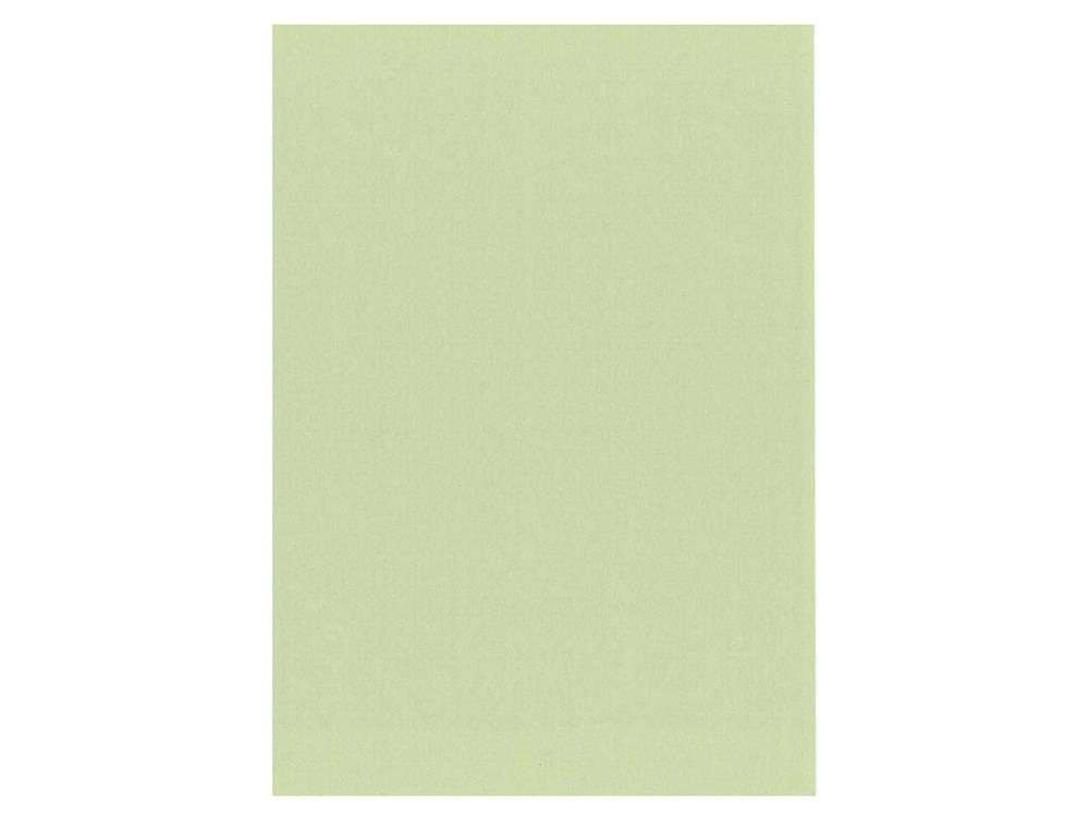 memo DIN 'Recycling Kopierpapier pastellgrün Farbiges Kopierpapier memo colour'