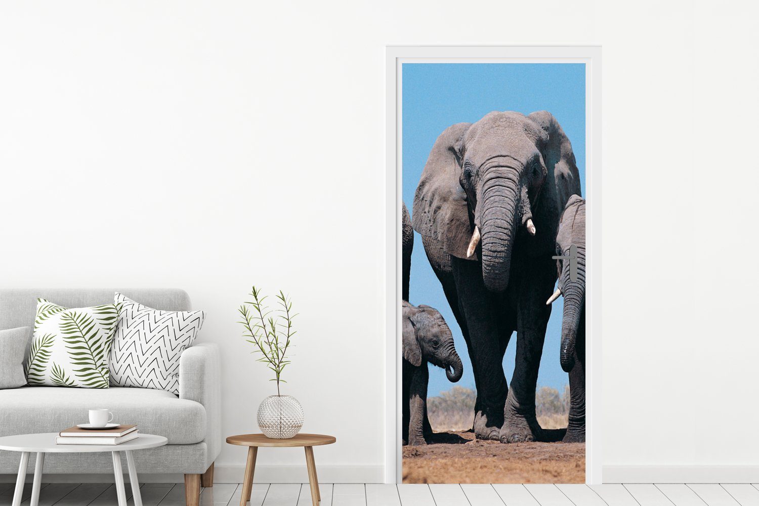 Tür, 75x205 Türtapete (1 Natur, - Elefant Tiere Fototapete cm Matt, Türaufkleber, bedruckt, Prärie MuchoWow St), - - für