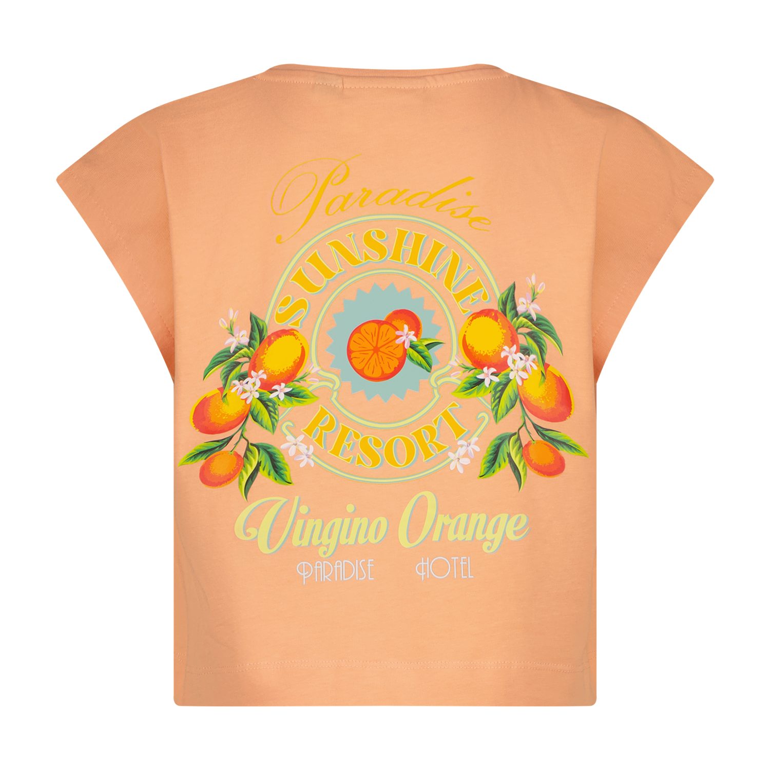 Vingino T-Shirt T-Shirt aus Baumwolle mit Rückenprint und Frontdetail