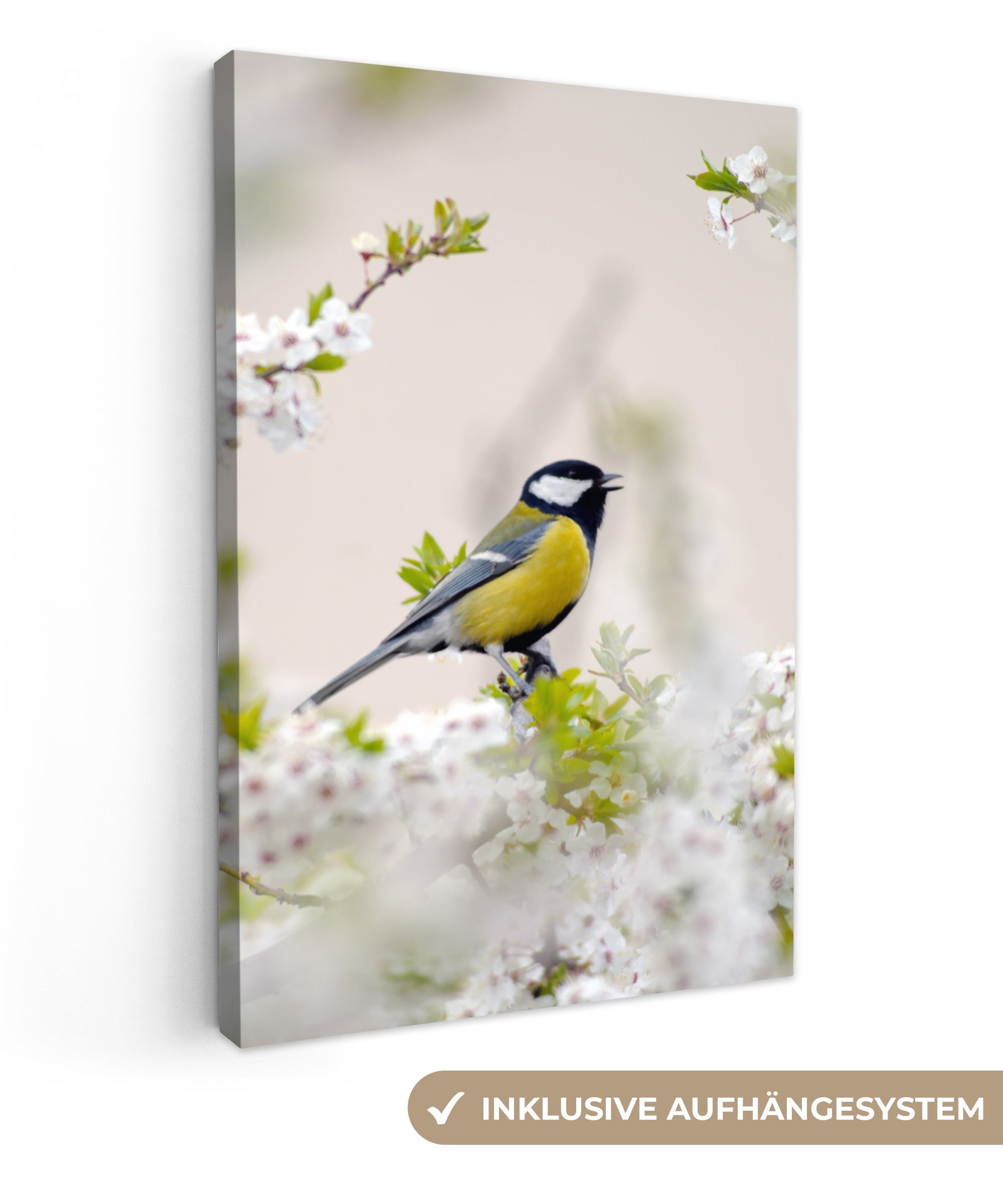 OneMillionCanvasses® Leinwandbild Vogel - Kohlmeise - günstig online kaufen