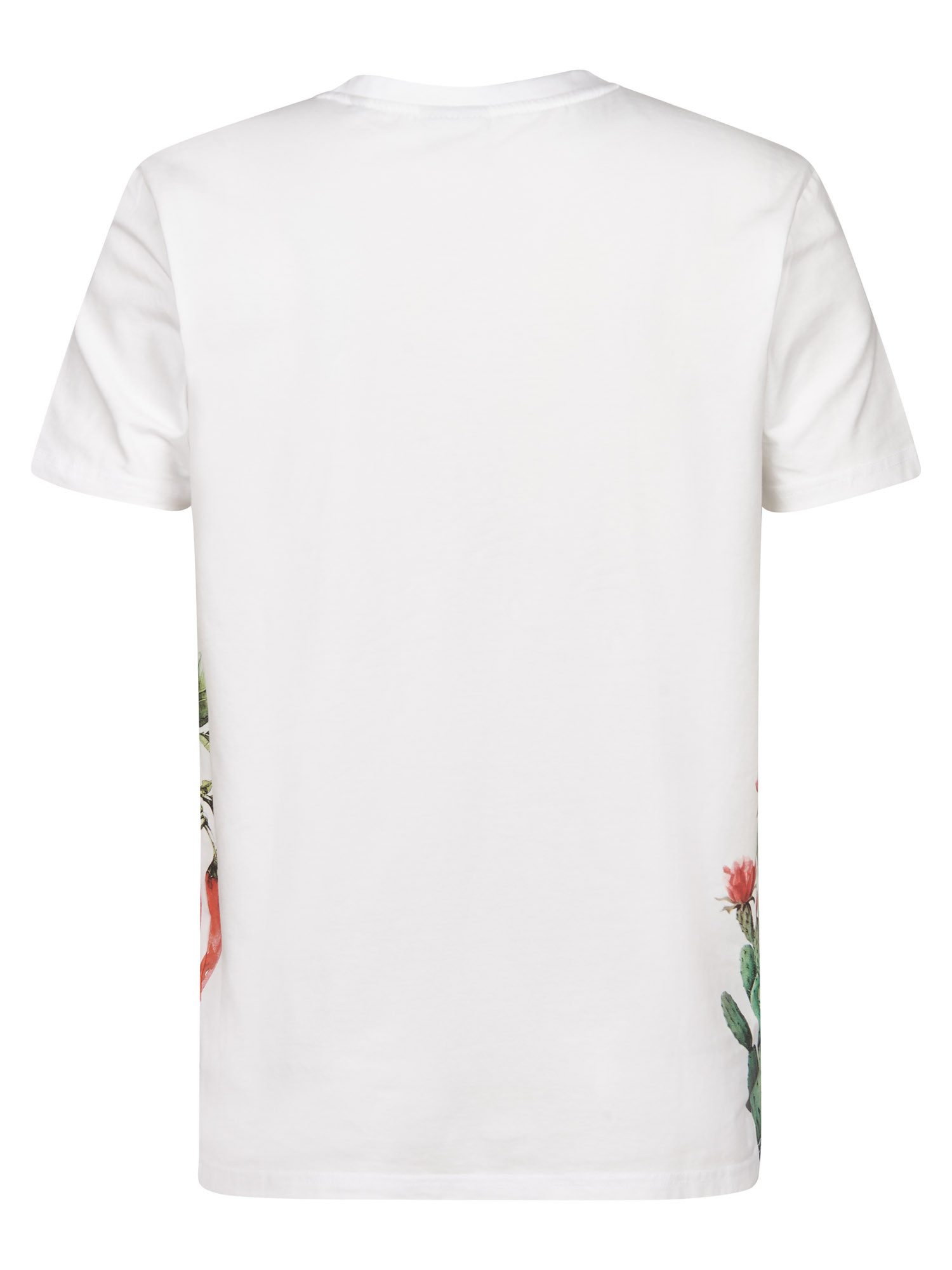 Petrol Industries Kurzarmshirt - T-Shirt Herren - Printshirt aus Bio Baumwolle mit Waschung