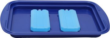 APS Tortenplatte Thermo Tablett Set, Edelstahl, Kunststoff, Kühlfunktion durch 2 Kühlakkus