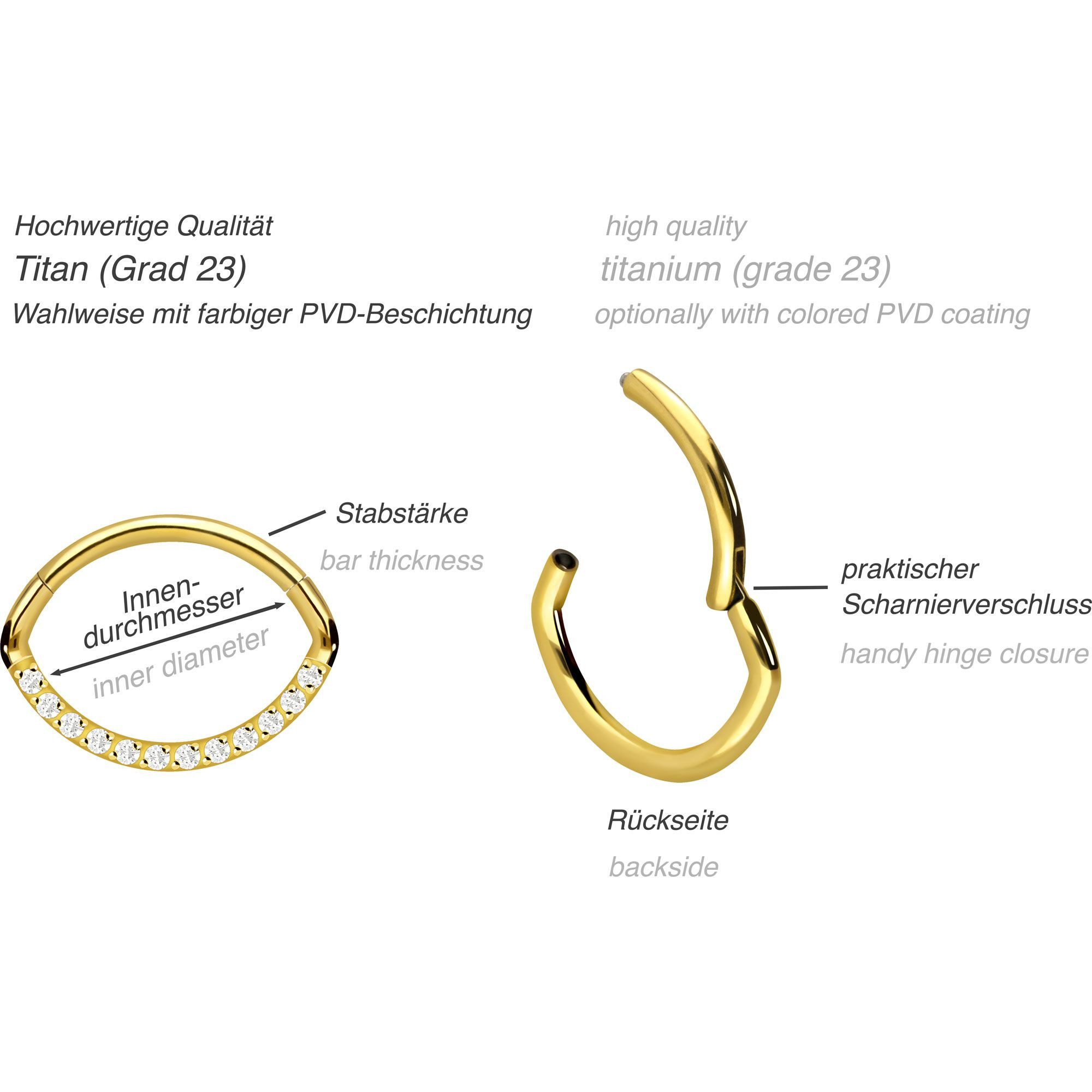 PIERCINGLINE Nasenpiercing Titan Segmentring Clicker OVAL + EINGEFASSTE KRISTALLE Ohrpiercing (Clicker, 1-tlg), Ohrpiercing für Conch, Helix, Tragus, Daith, Lobe