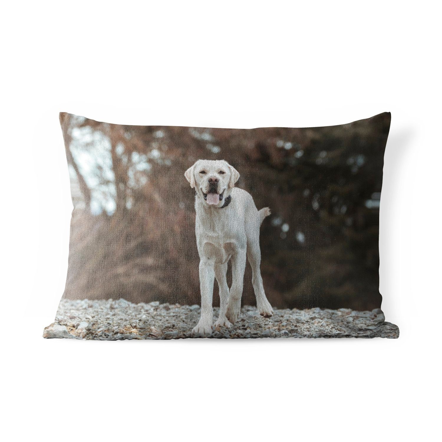 MuchoWow Dekokissen Ein weißer Labrador Retriever auf den Steinen, Outdoor-Dekorationskissen, Polyester, Dekokissenbezug, Kissenhülle