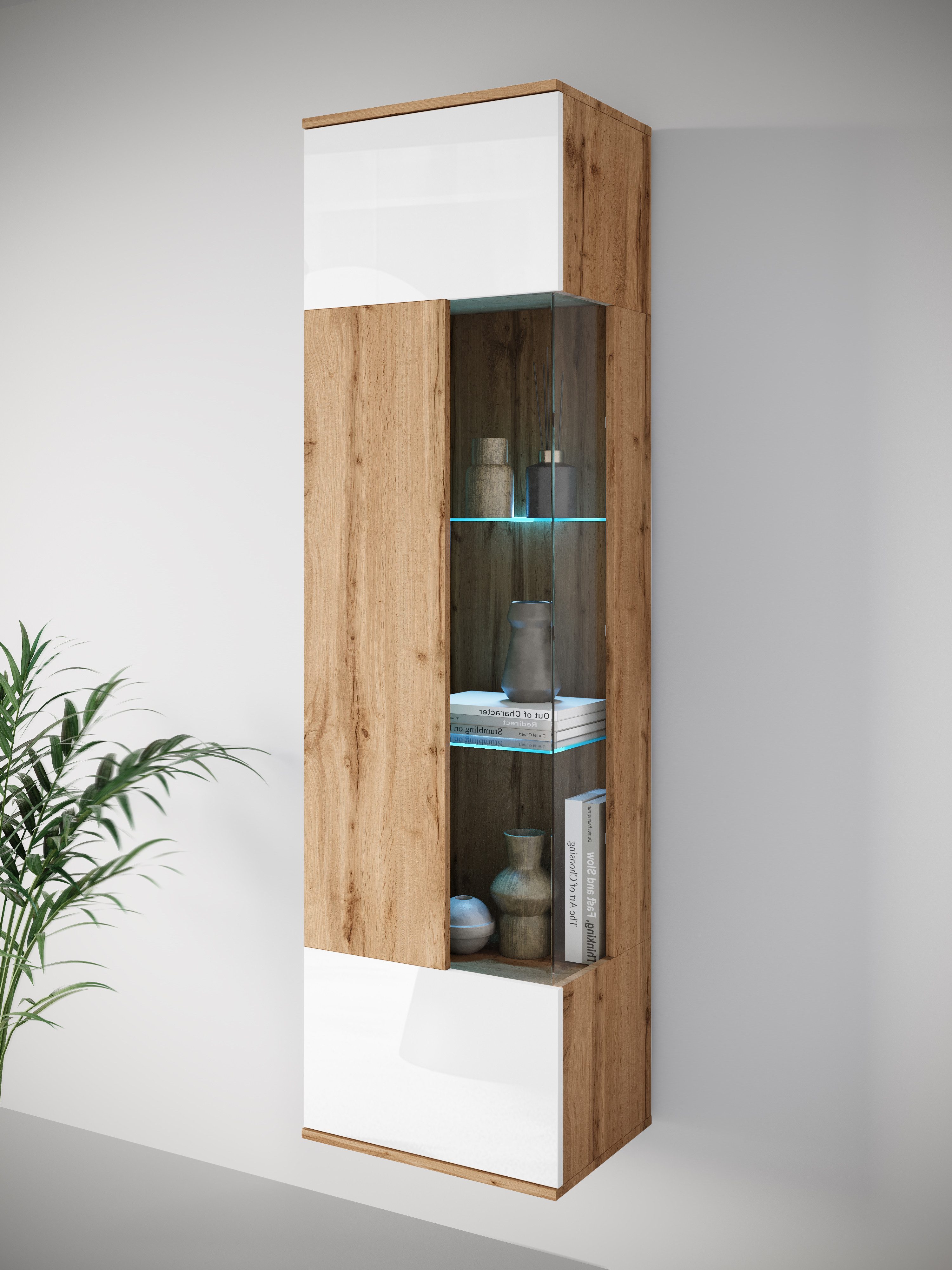 INOSIGN Vitrine Kenia, stehend und hängend, günstig online kaufen