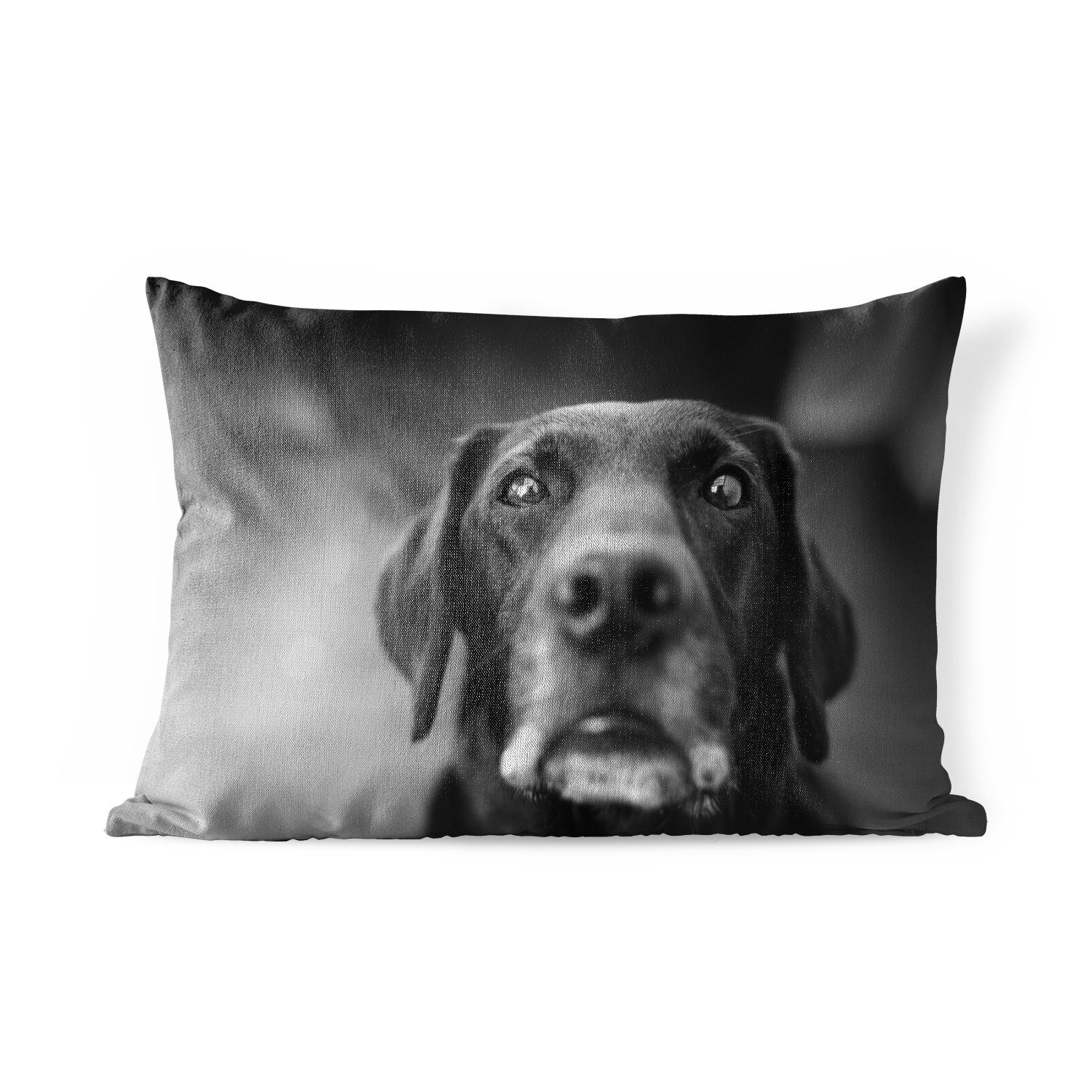 Hund MuchoWow Labrador in und weiß, Polyester, Dekokissen schwarz Kissenhülle Tierprofil Dekokissenbezug, Outdoor-Dekorationskissen,