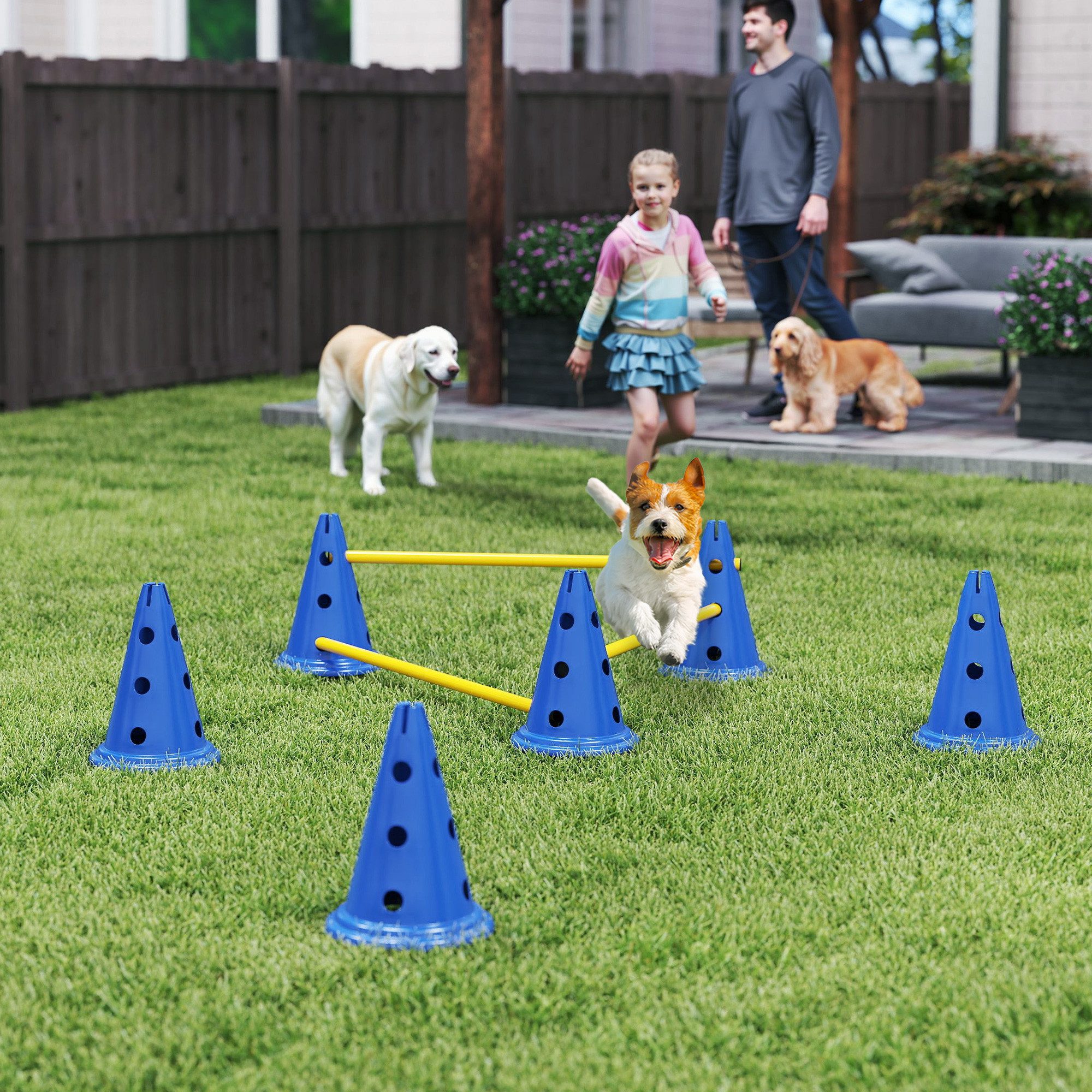 PawHut Agility-Hürde Agility Ausrüstung mit 6 Kegel, 3 höhenverstellbar Hürden, Kunststoff, Agility Set (3-tlg) für Hundetraining, Spiele, Training, Blau