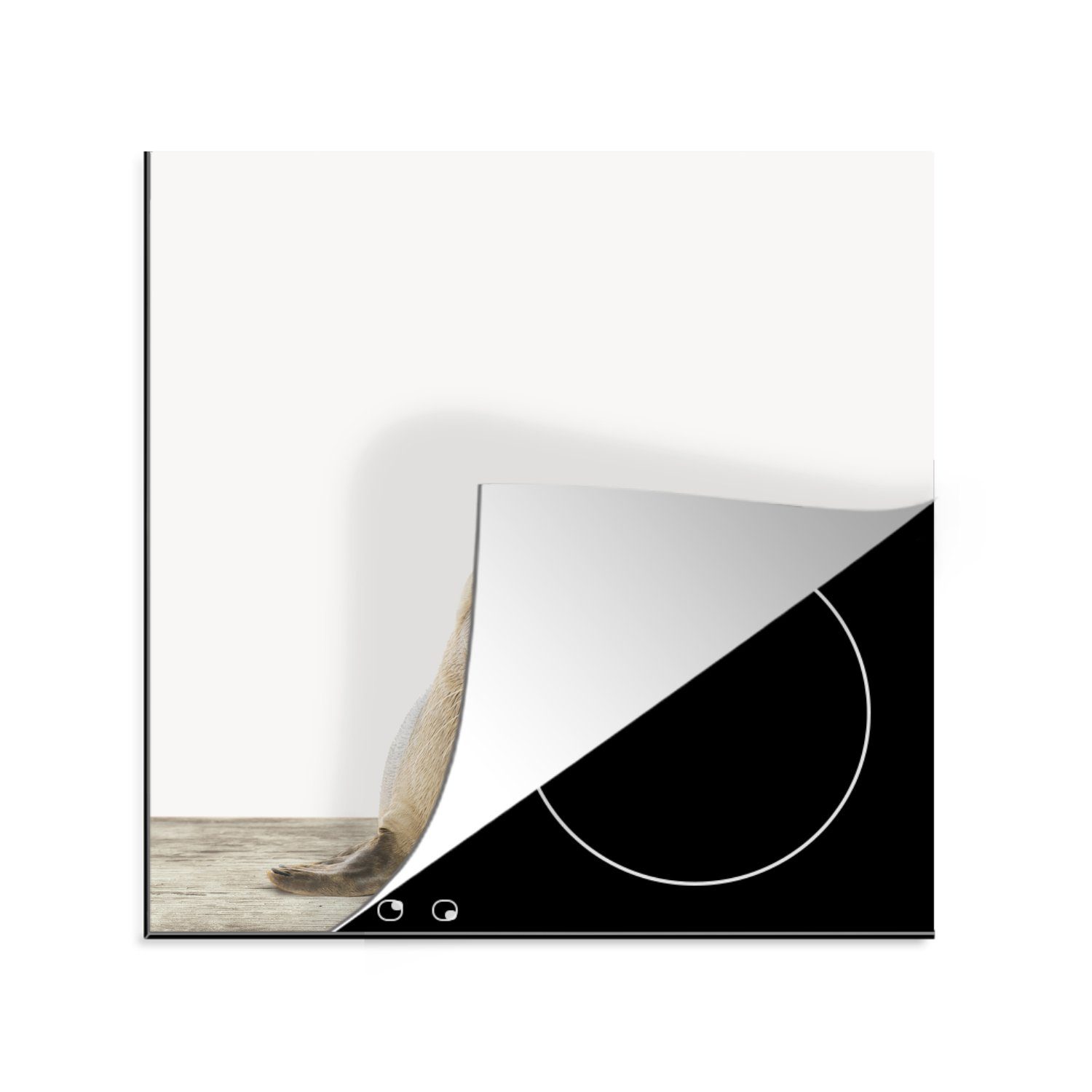 MuchoWow Herdblende-/Abdeckplatte Tiere - Robbe - Weiß, Vinyl, (1 tlg), 78x78 cm, Ceranfeldabdeckung, Arbeitsplatte für küche