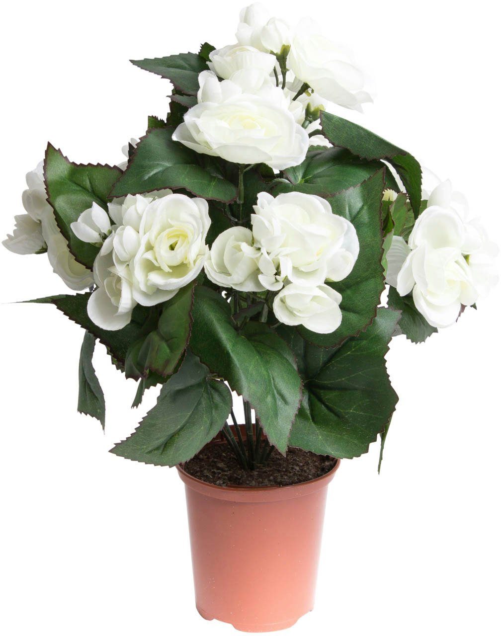 Kunstblume Begonie im Topf Begonie, Botanic-Haus, günstig online kaufen