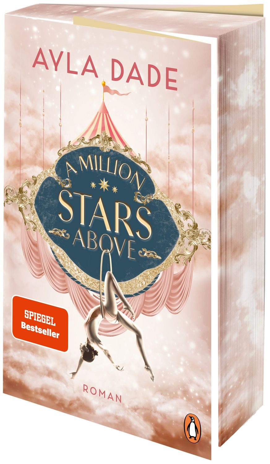 Belletristik A Million Stars Above Roman - Die New Adult Starautorin mit ihrer spic Ayla Dade