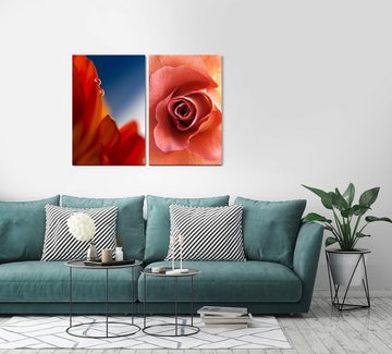 Sinus Art Leinwandbild 2 Bilder je 60x90cm Blumen Rose Liebe Zartgefühl rote Blüte Leidenschaft Passion