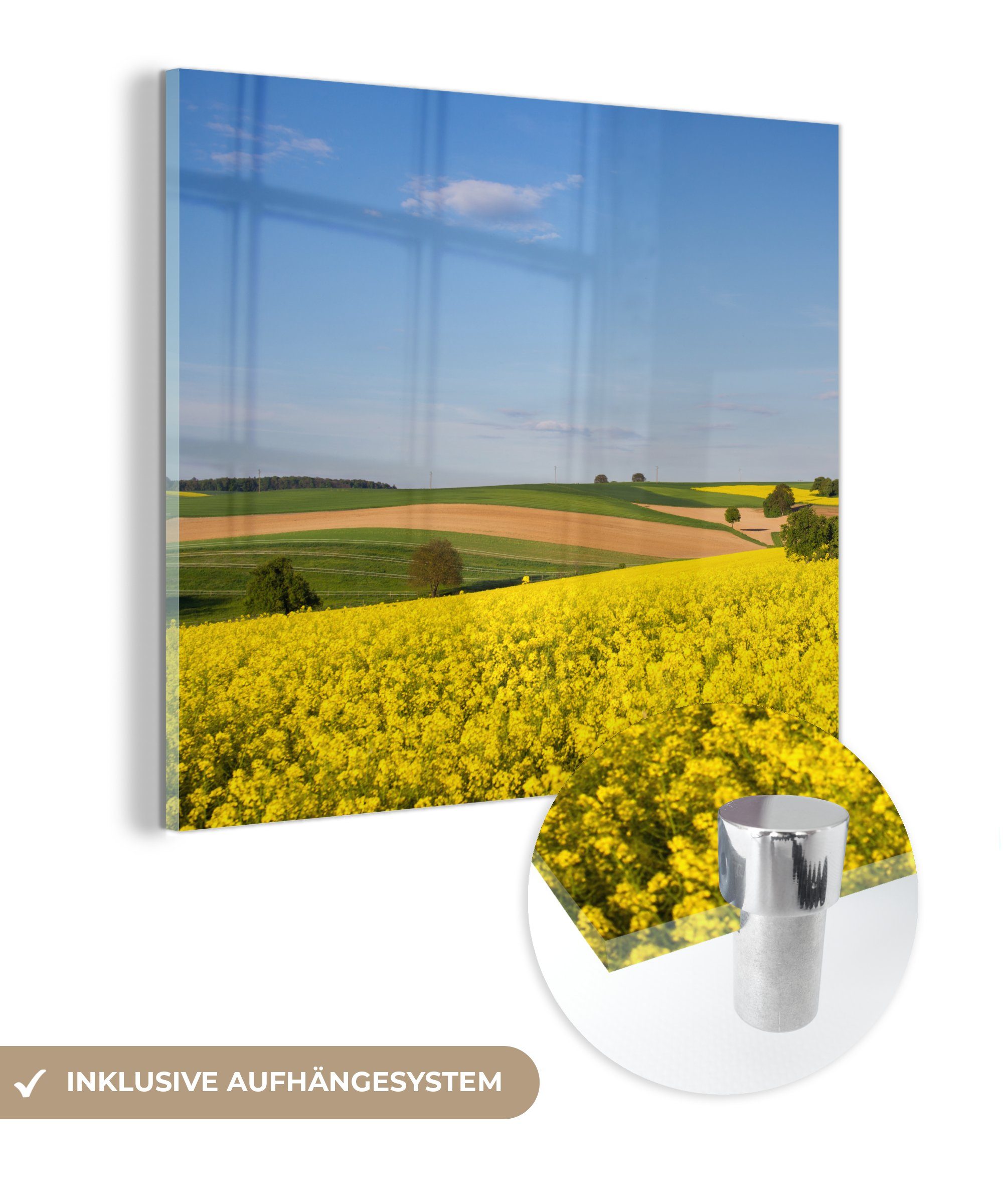 MuchoWow Acrylglasbild Frühling - Blumen - Gelb, (1 St), Glasbilder - Bilder auf Glas Wandbild - Foto auf Glas - Wanddekoration